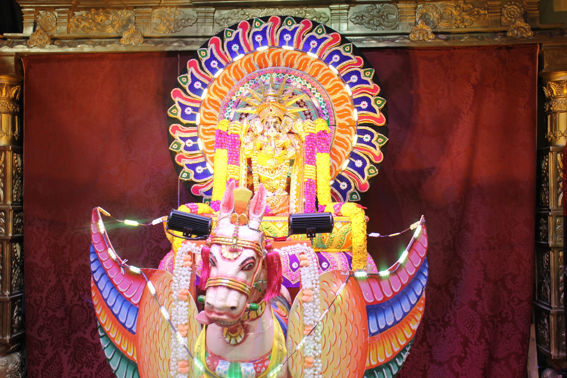 Festival 2026 photo