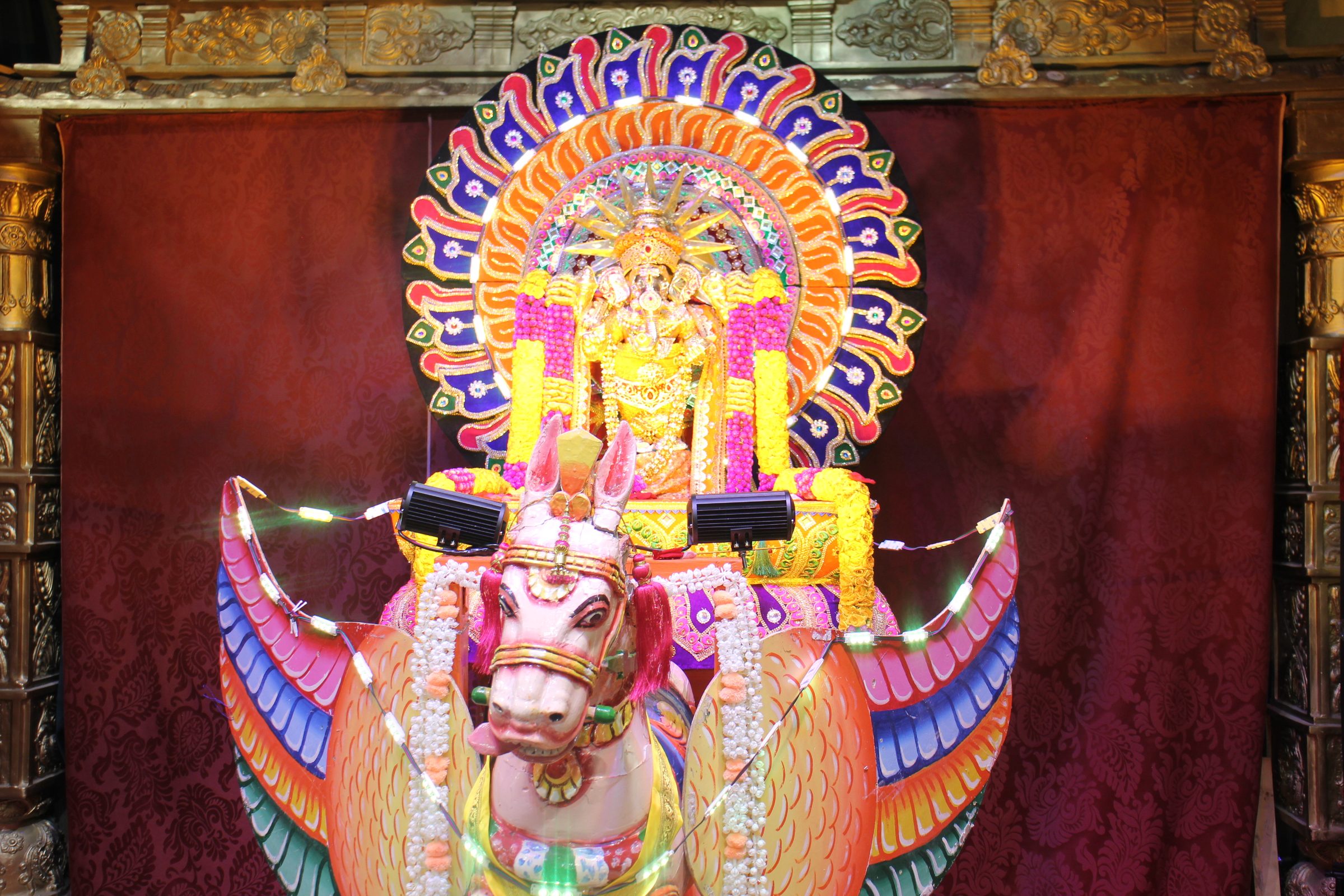 Festival 2026 photo
