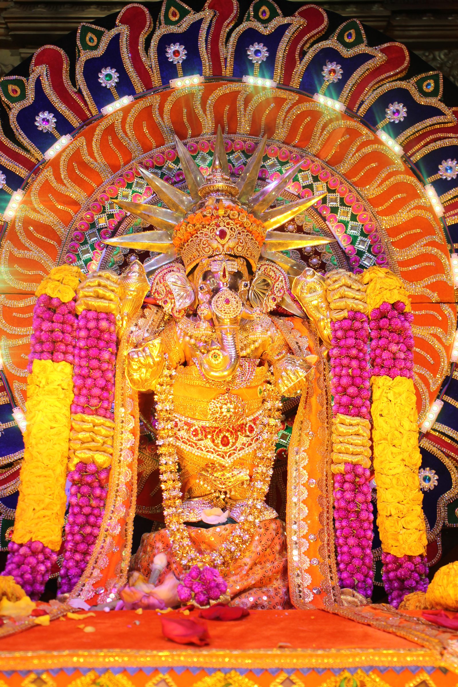 Festival 2026 photo