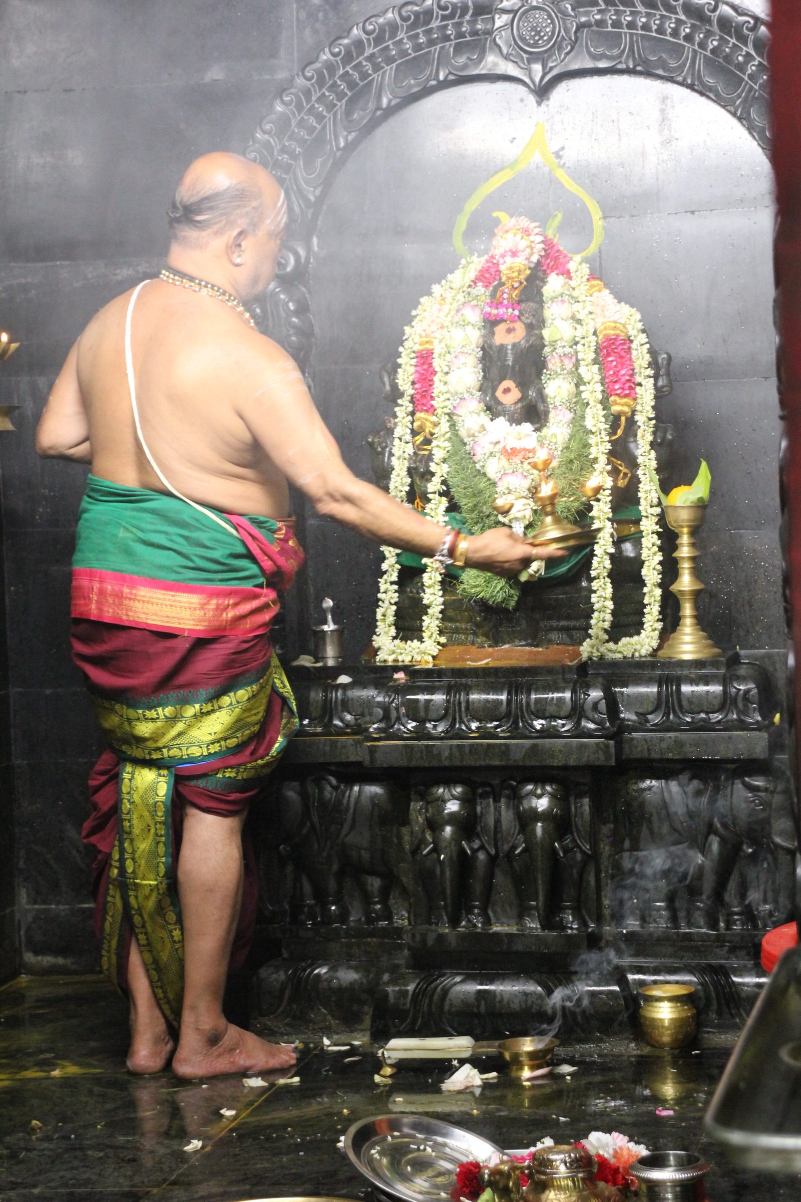 Festival 2026 photo