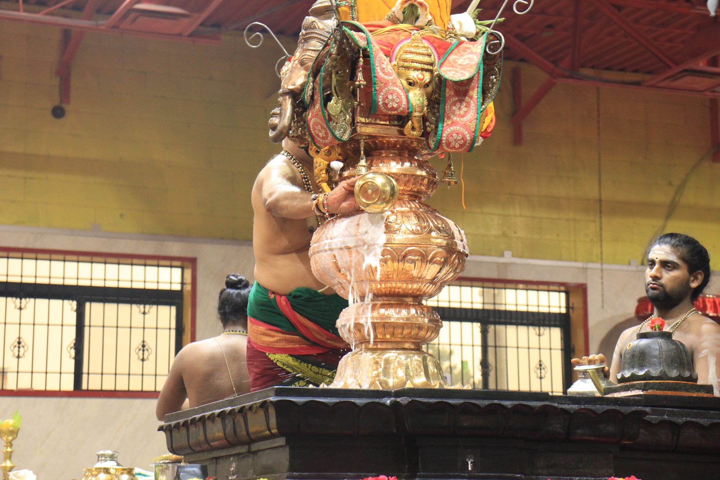 Festival 2026 photo