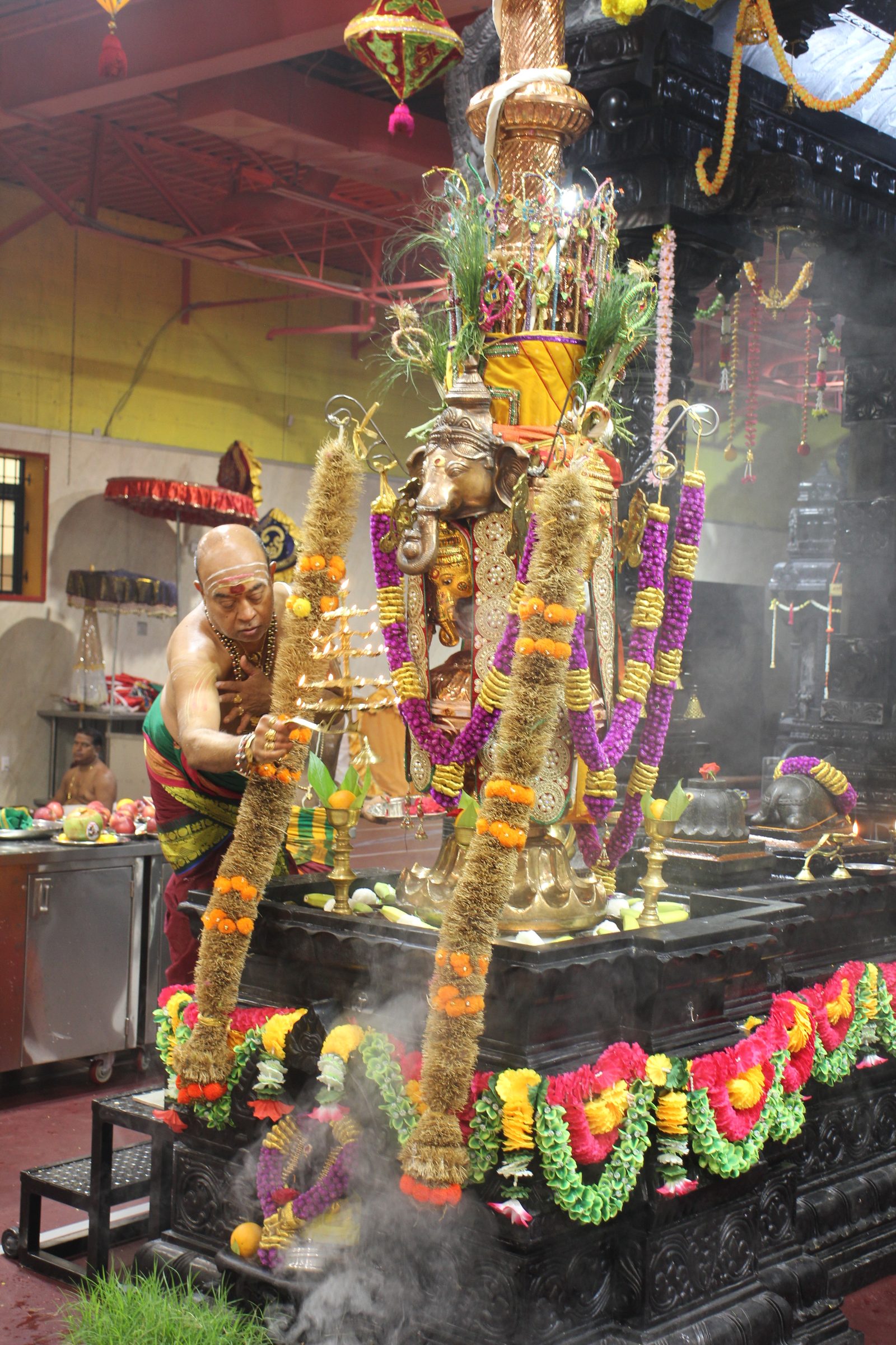 Festival 2026 photo