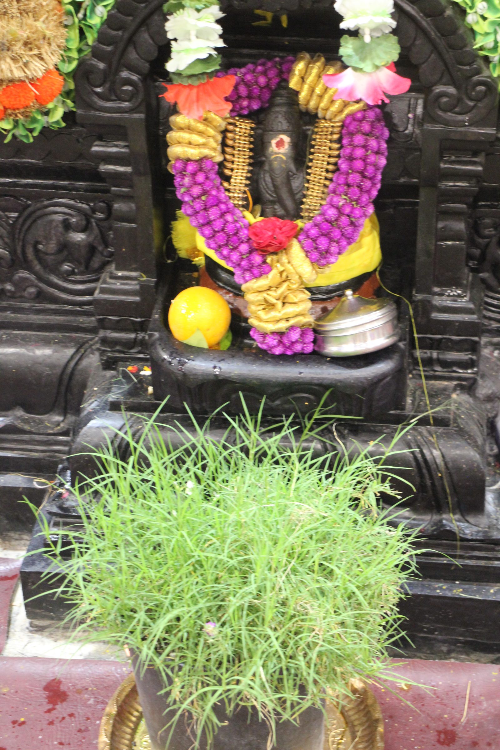 Festival 2026 photo