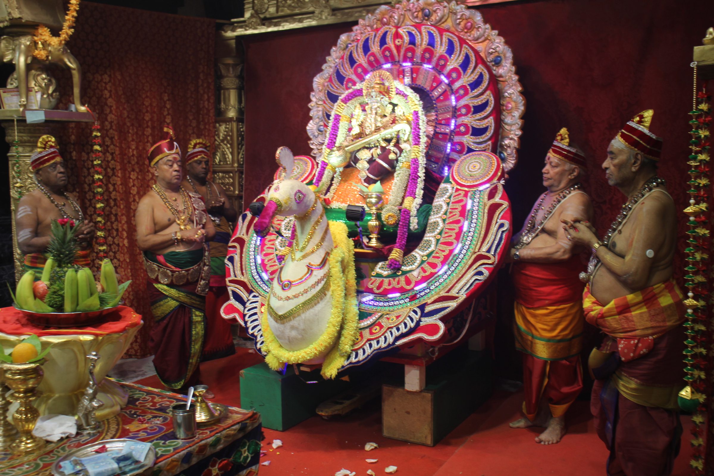 Festival 2026 photo