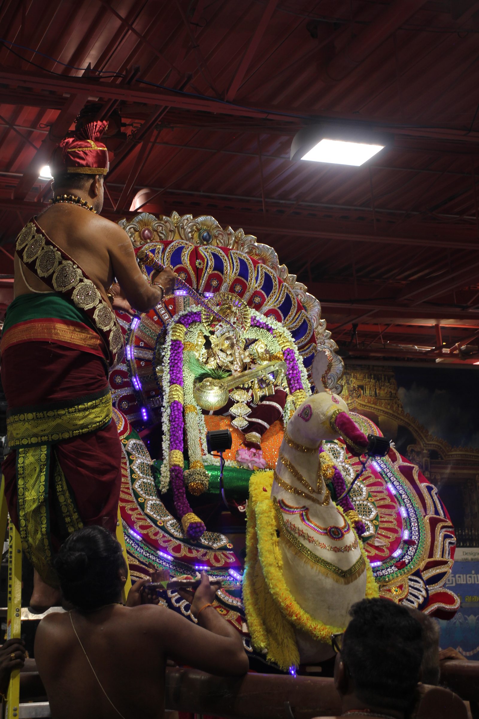 Festival 2026 photo