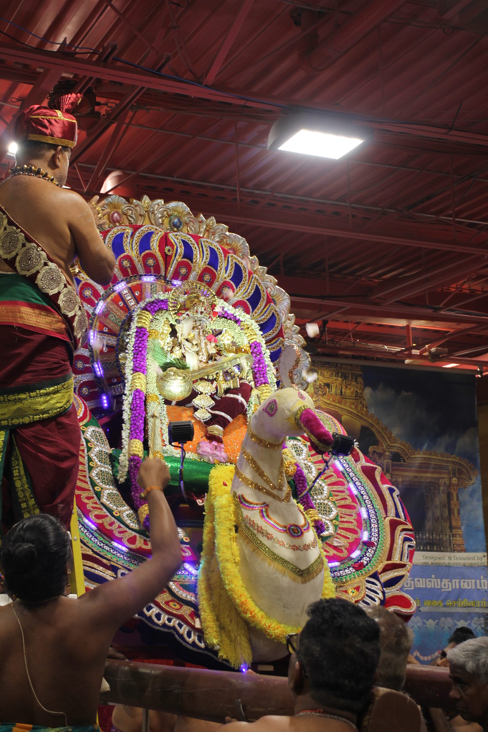 Festival 2026 photo