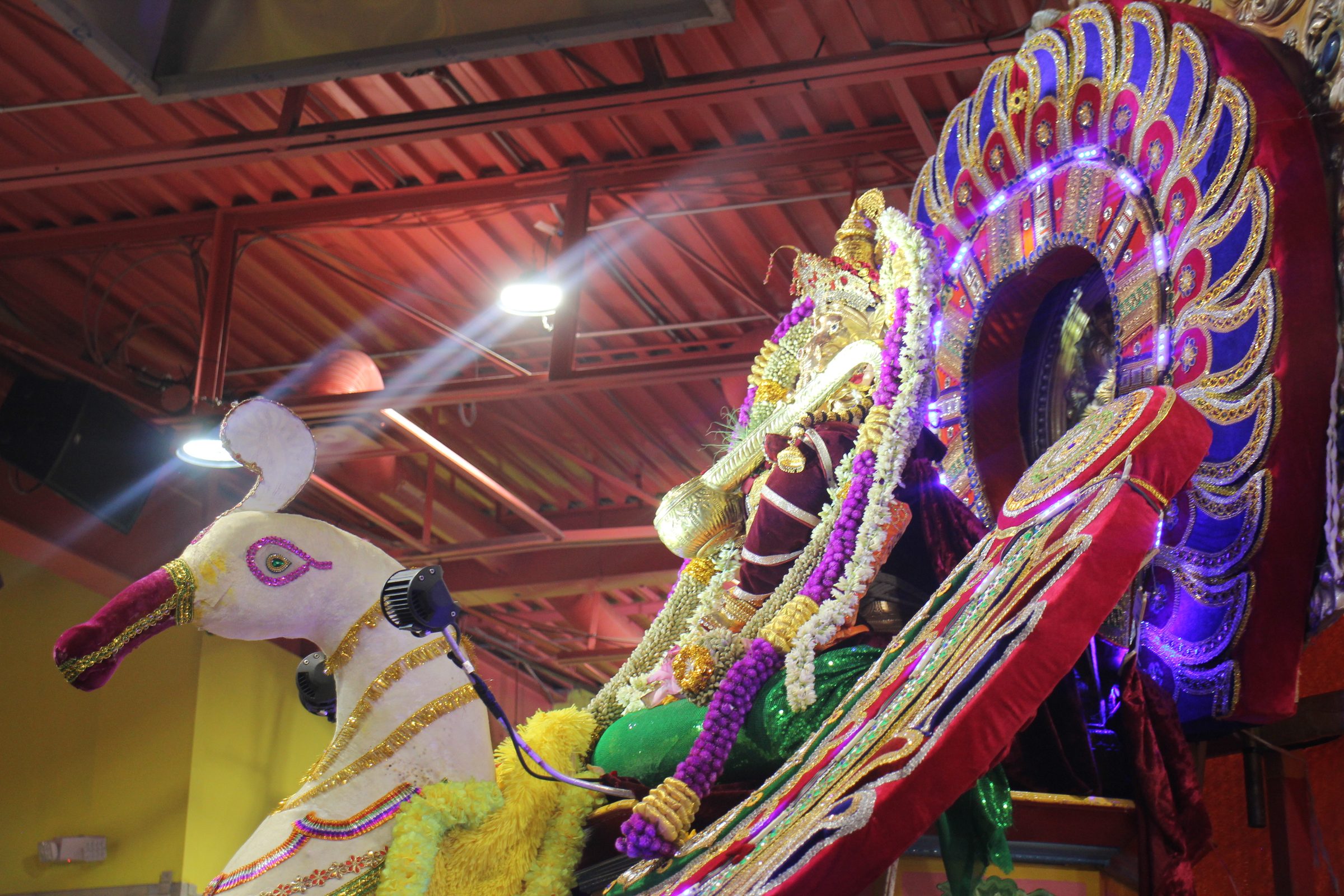 Festival 2026 photo