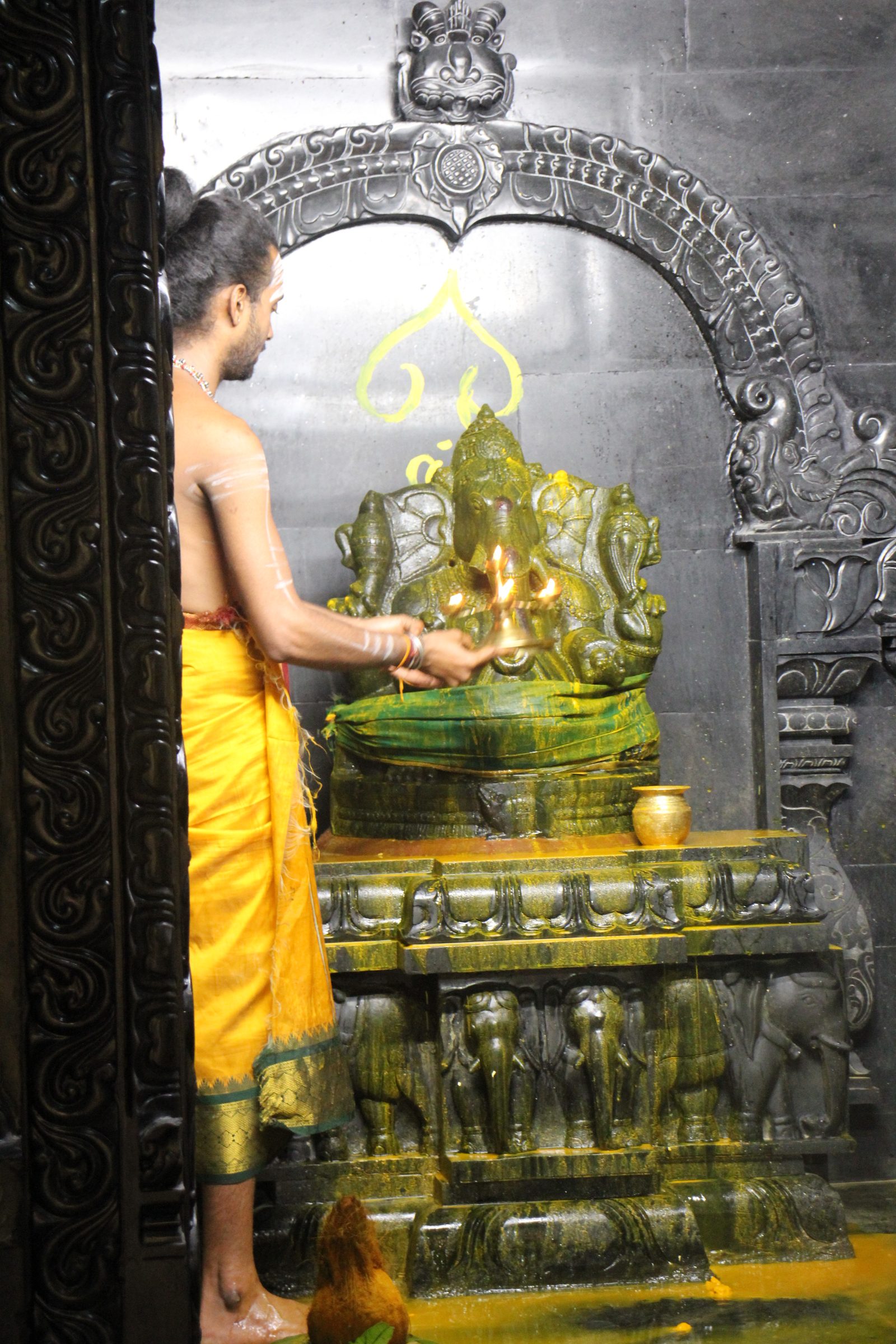 Festival 2026 photo