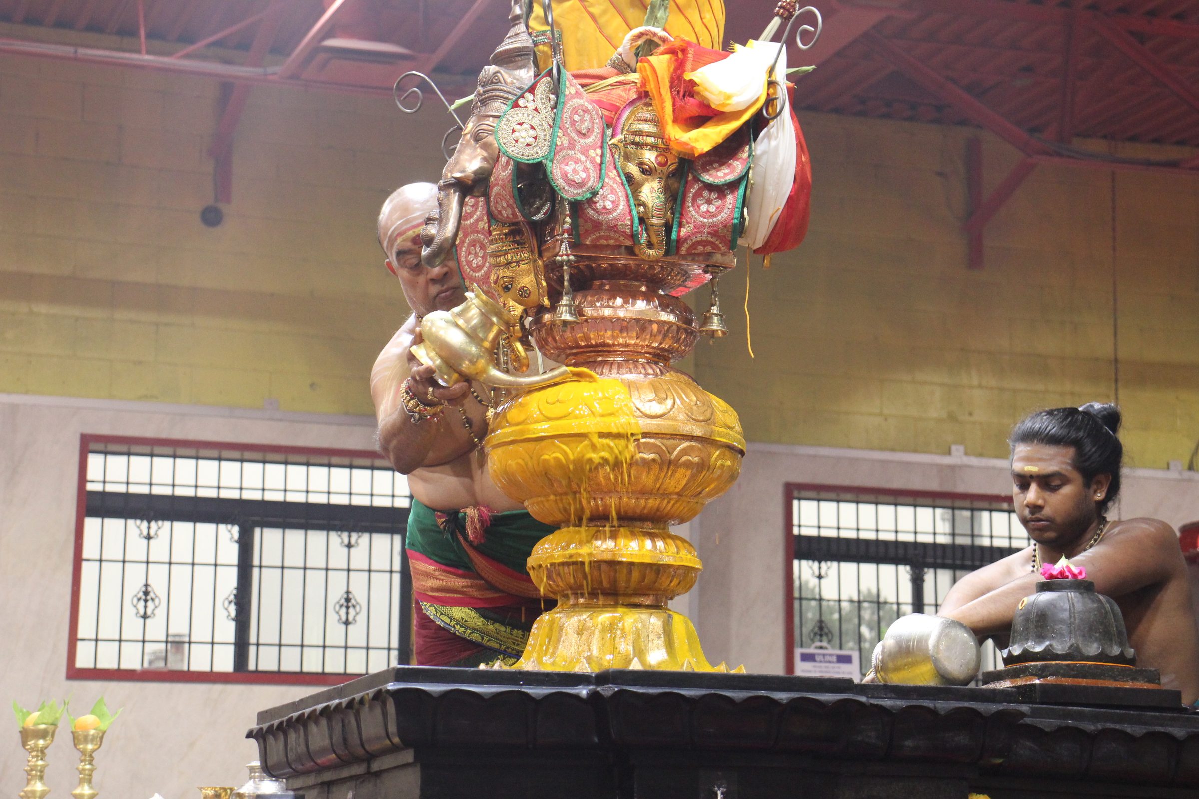 Festival 2026 photo