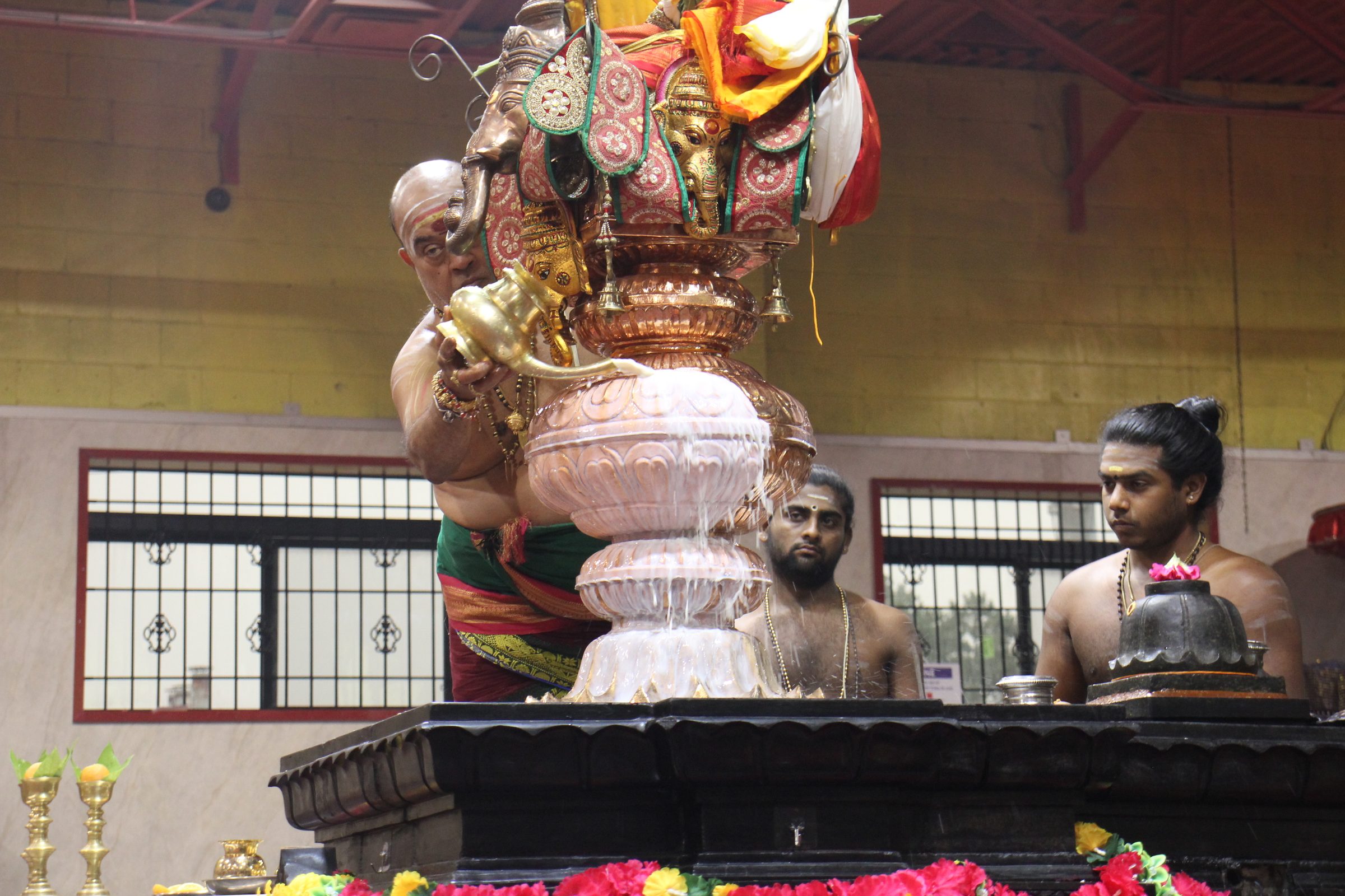 Festival 2026 photo