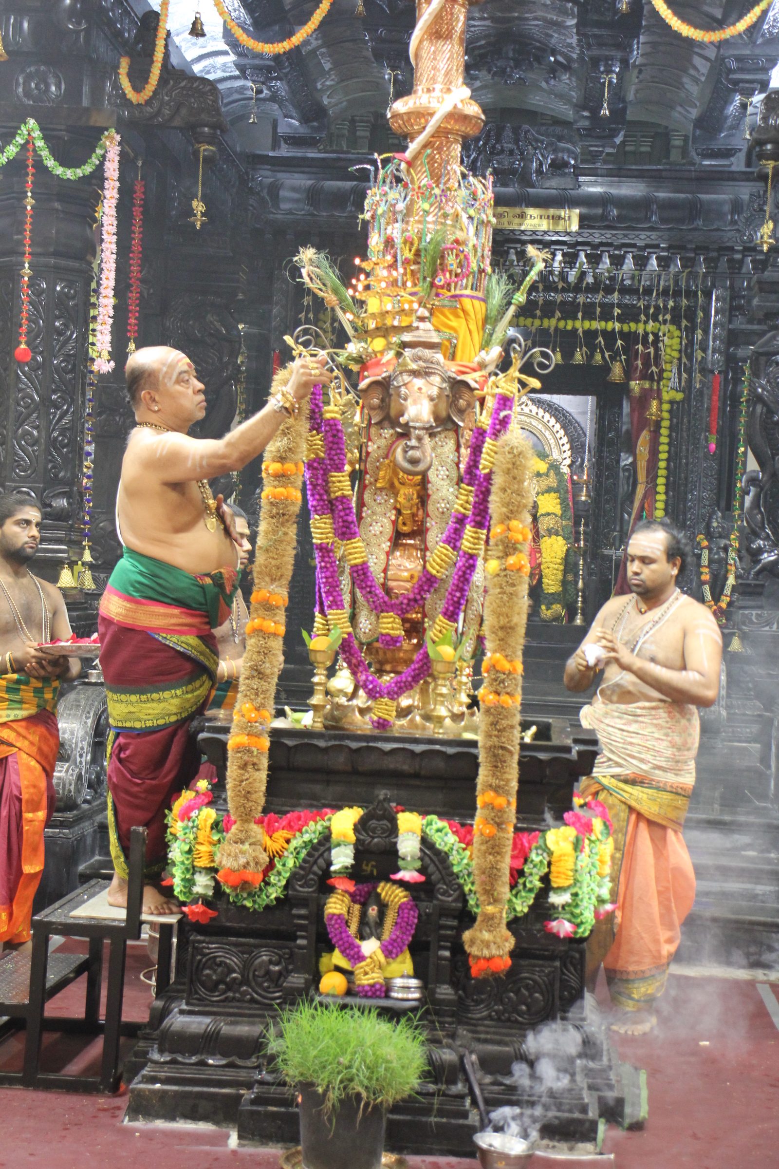 Festival 2026 photo