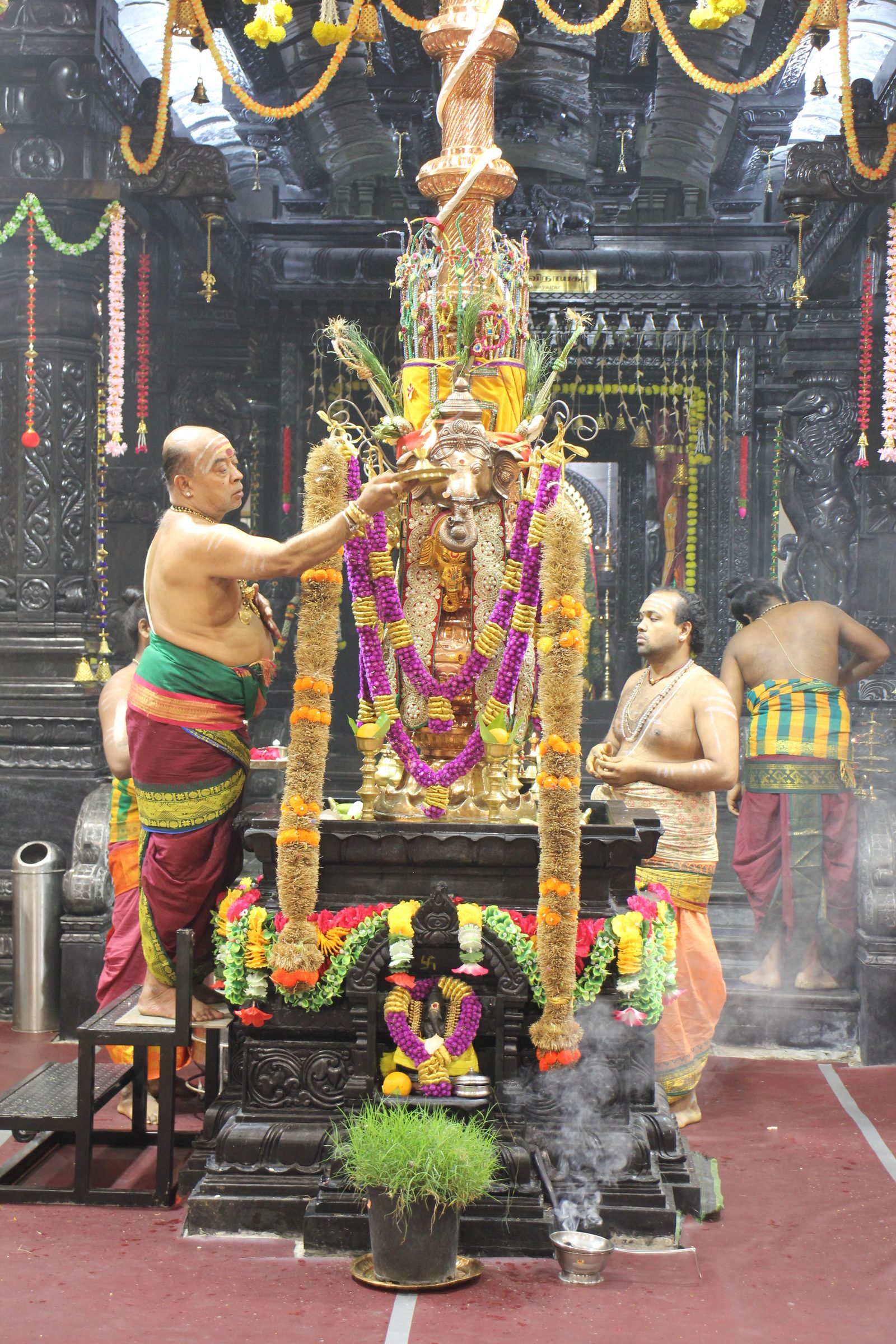 Festival 2026 photo