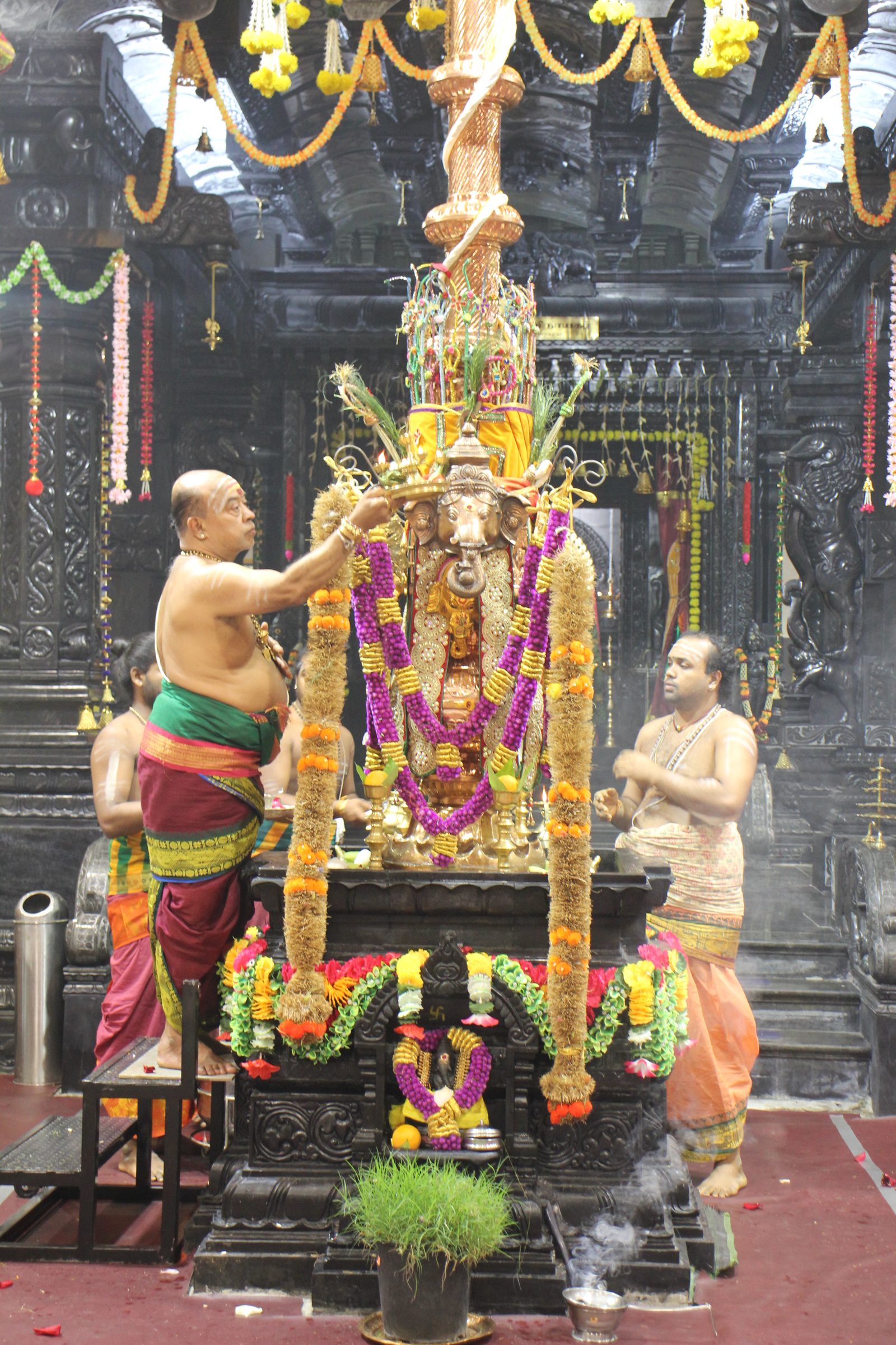Festival 2026 photo