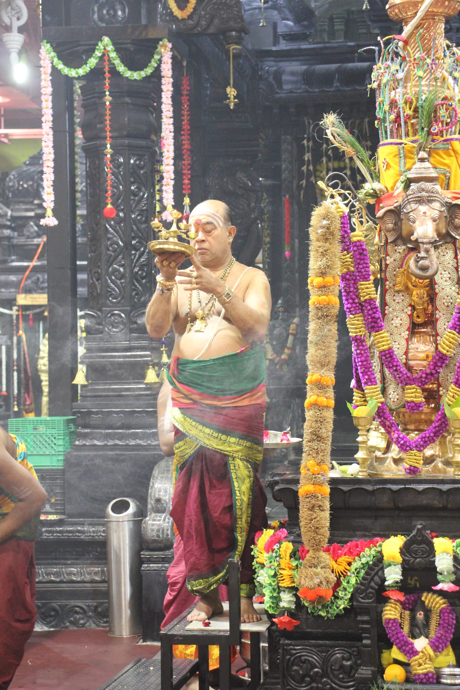 Festival 2026 photo