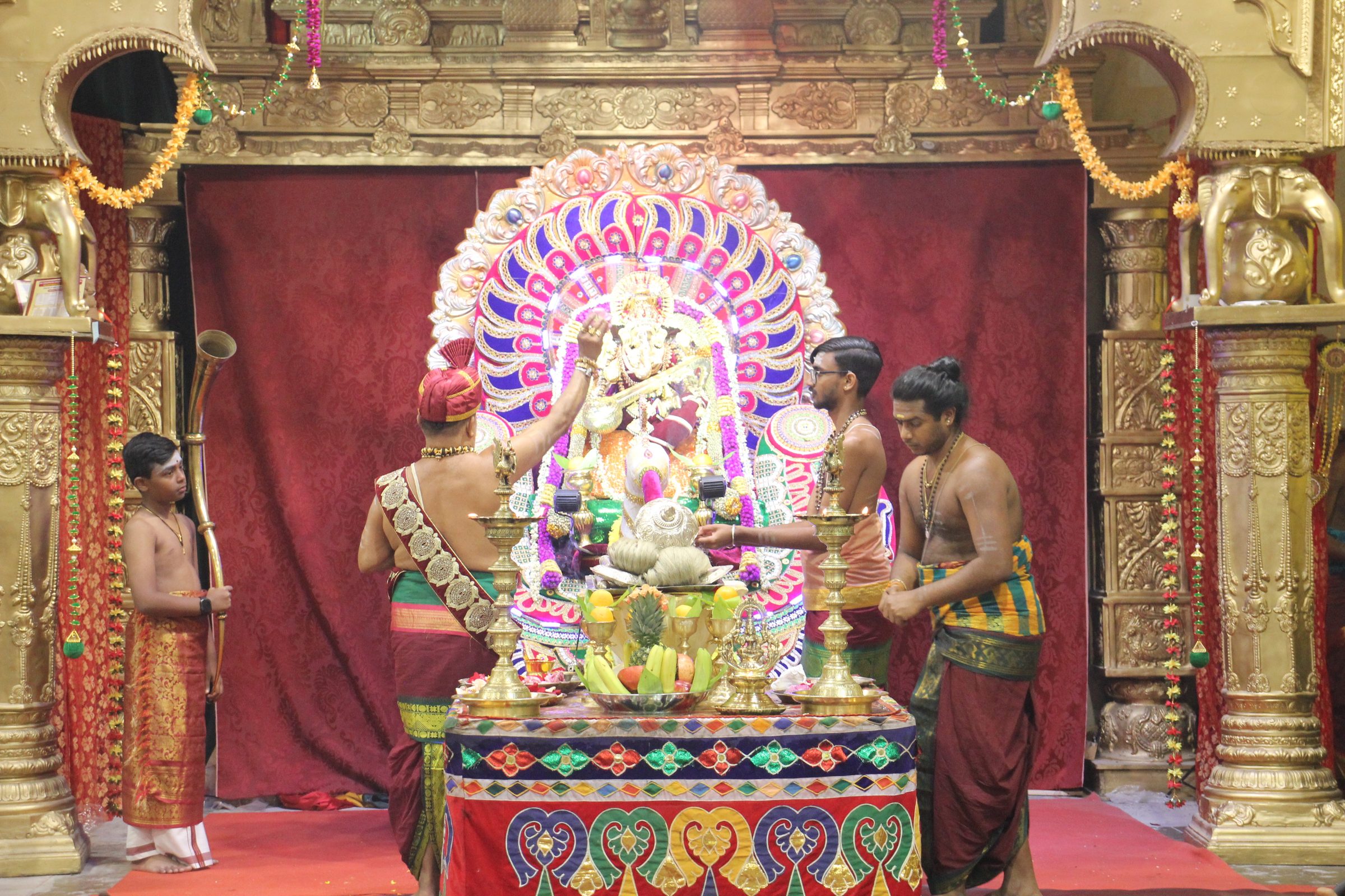 Festival 2026 photo