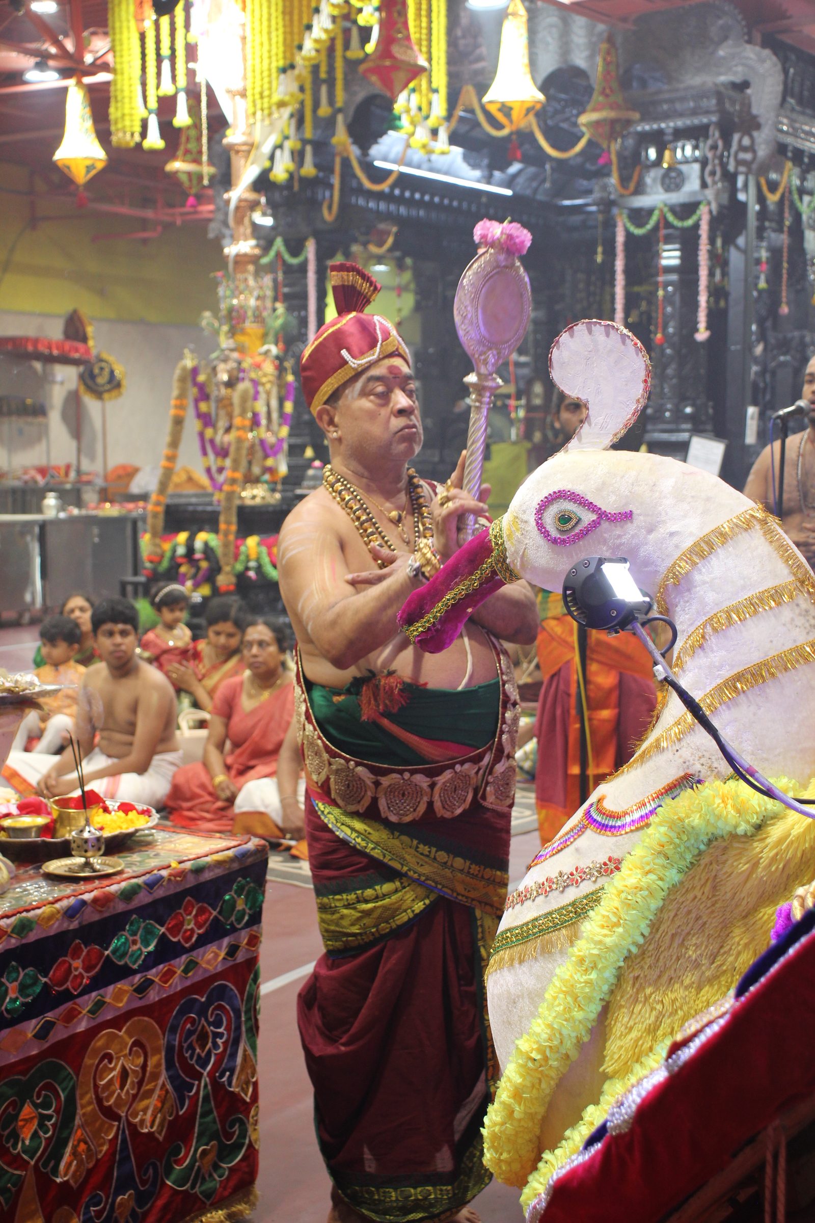 Festival 2026 photo