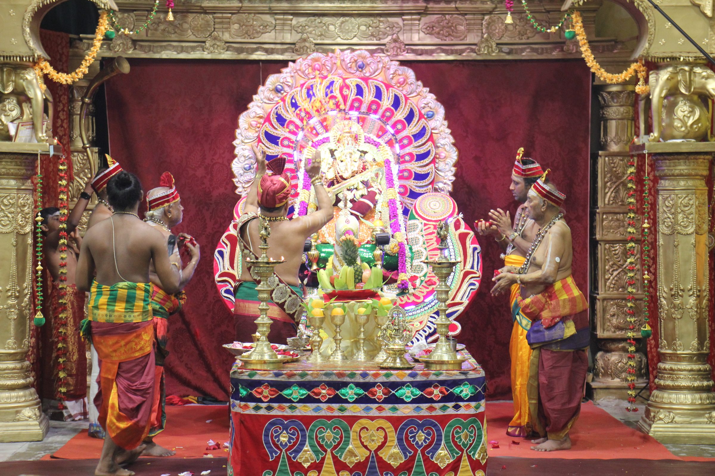 Festival 2026 photo