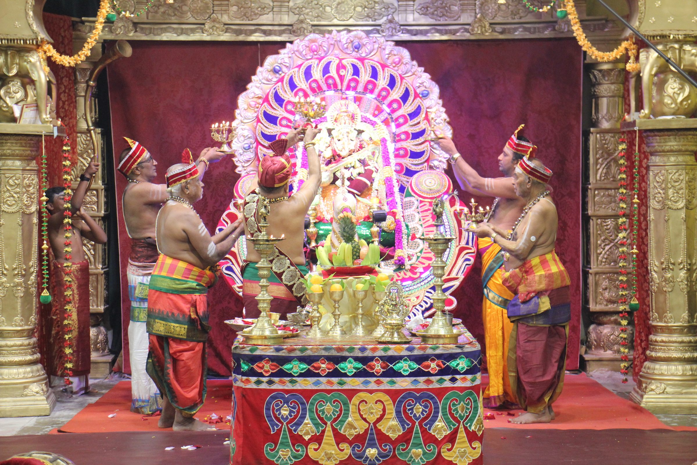 Festival 2026 photo