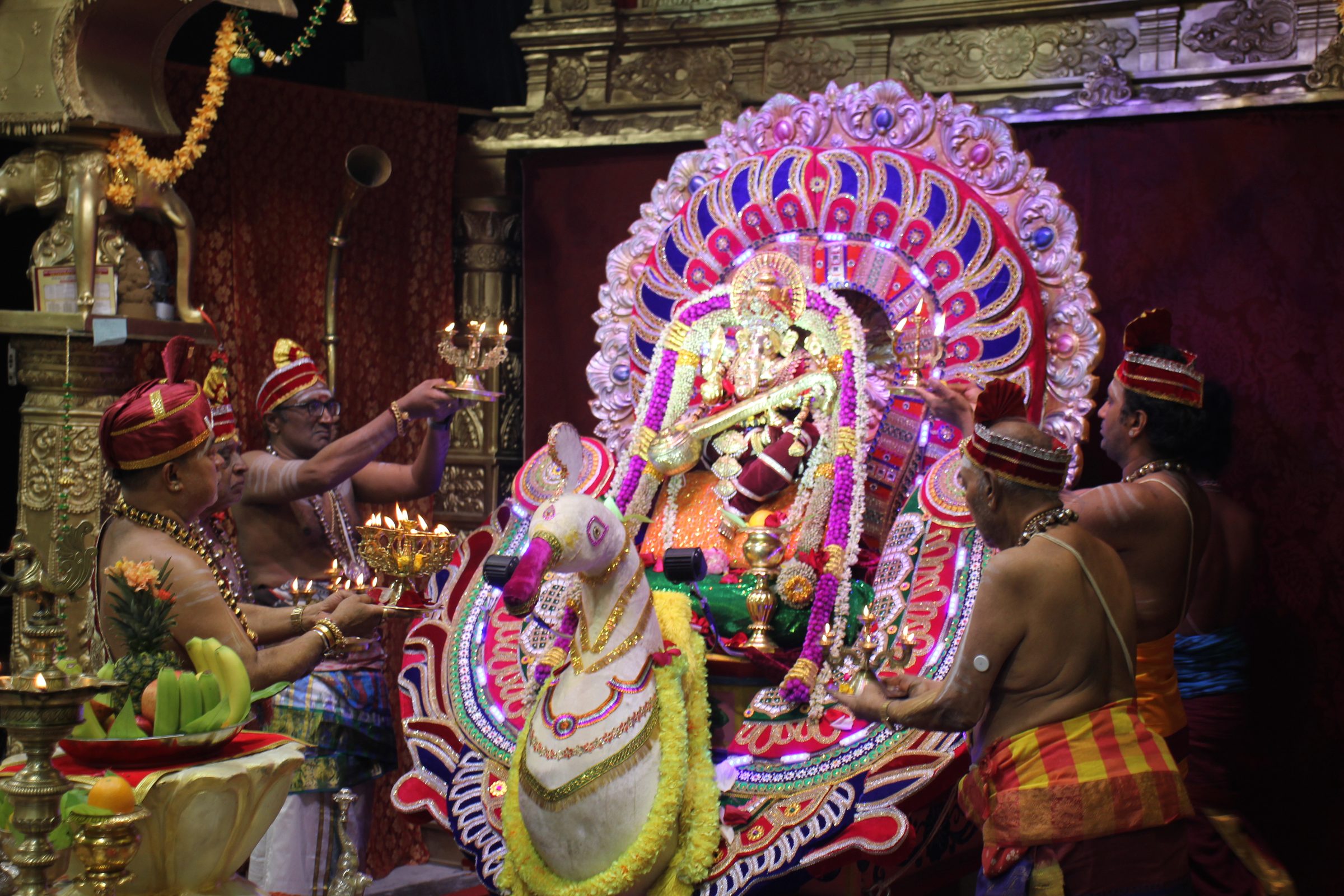 Festival 2026 photo