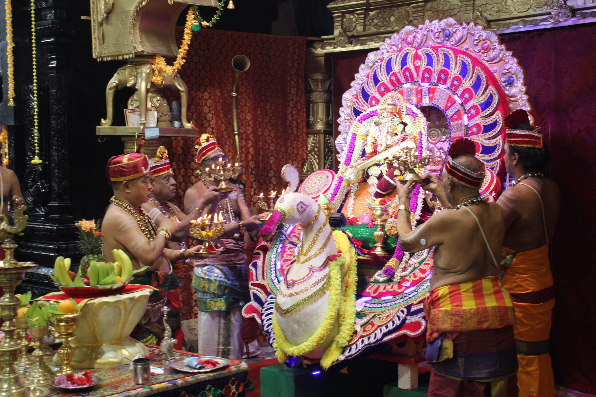Festival 2026 photo