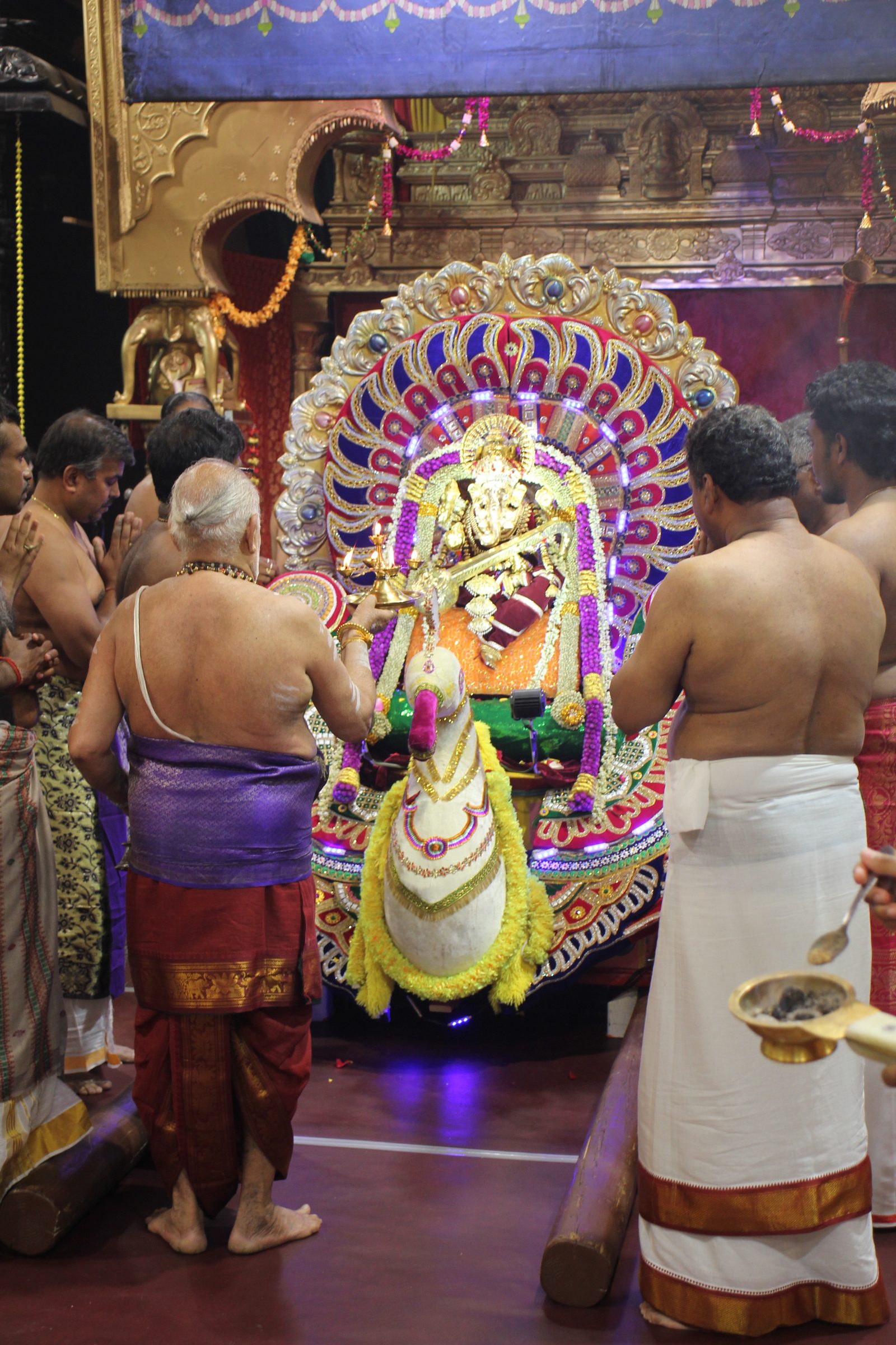 Festival 2026 photo