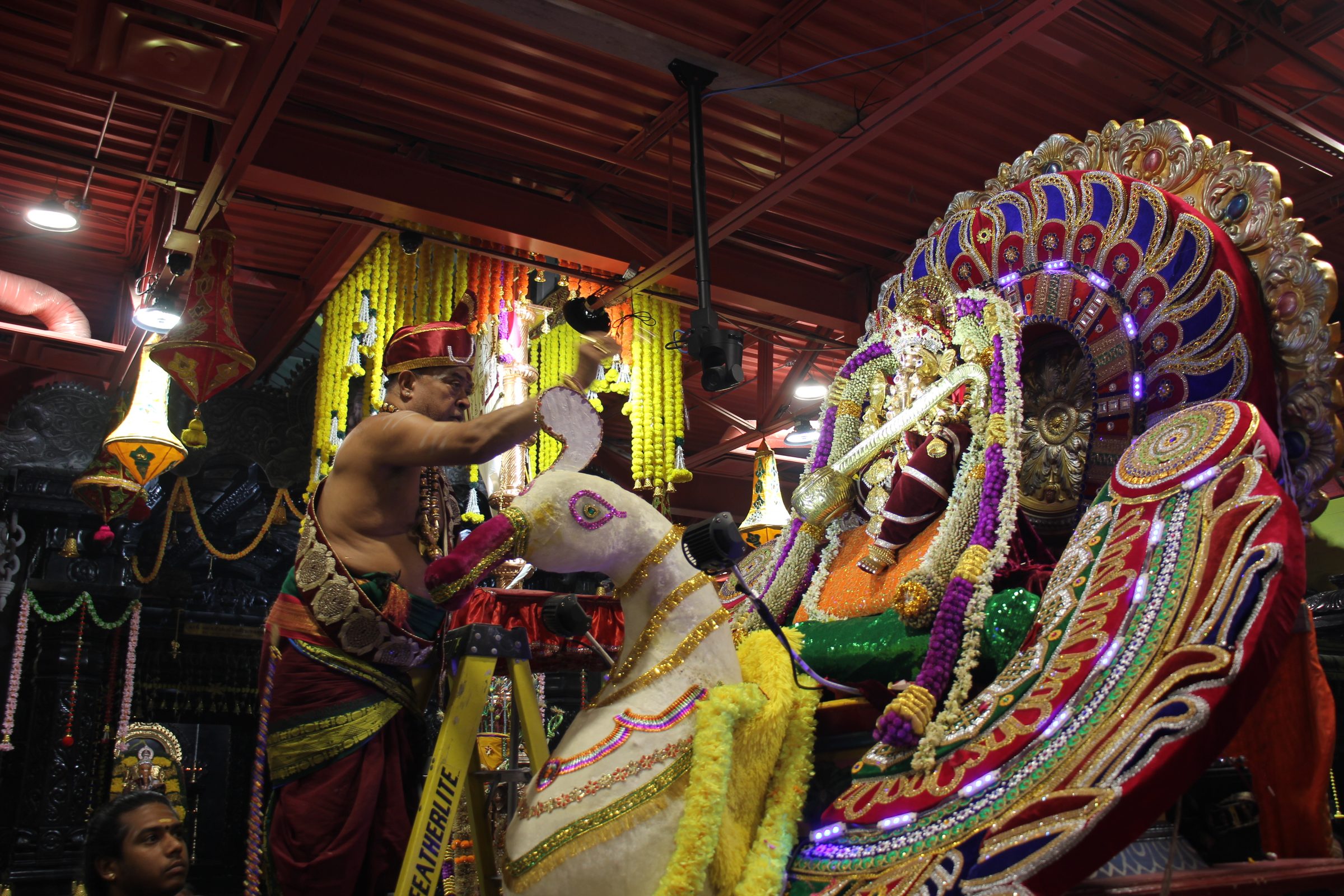 Festival 2026 photo
