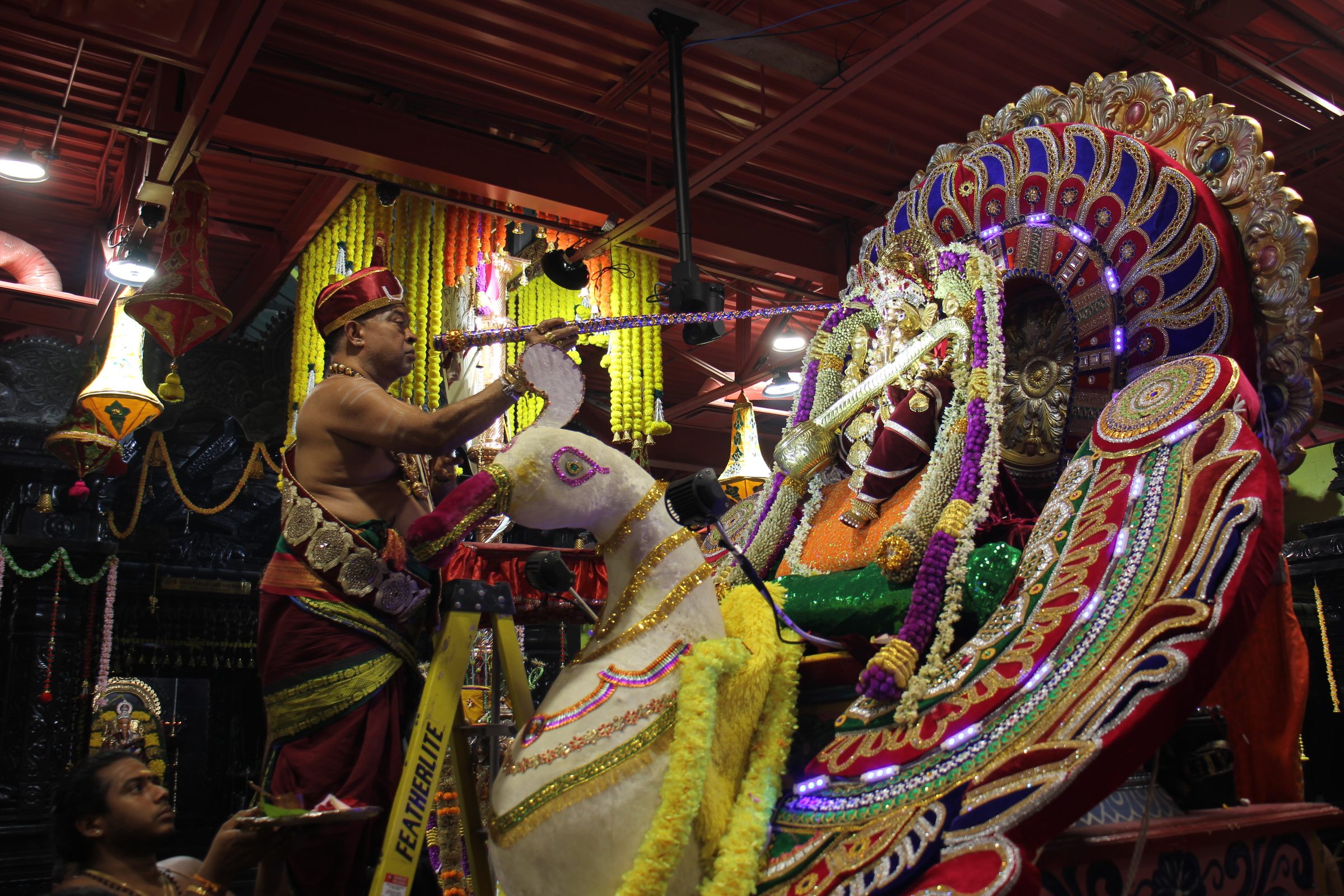 Festival 2026 photo