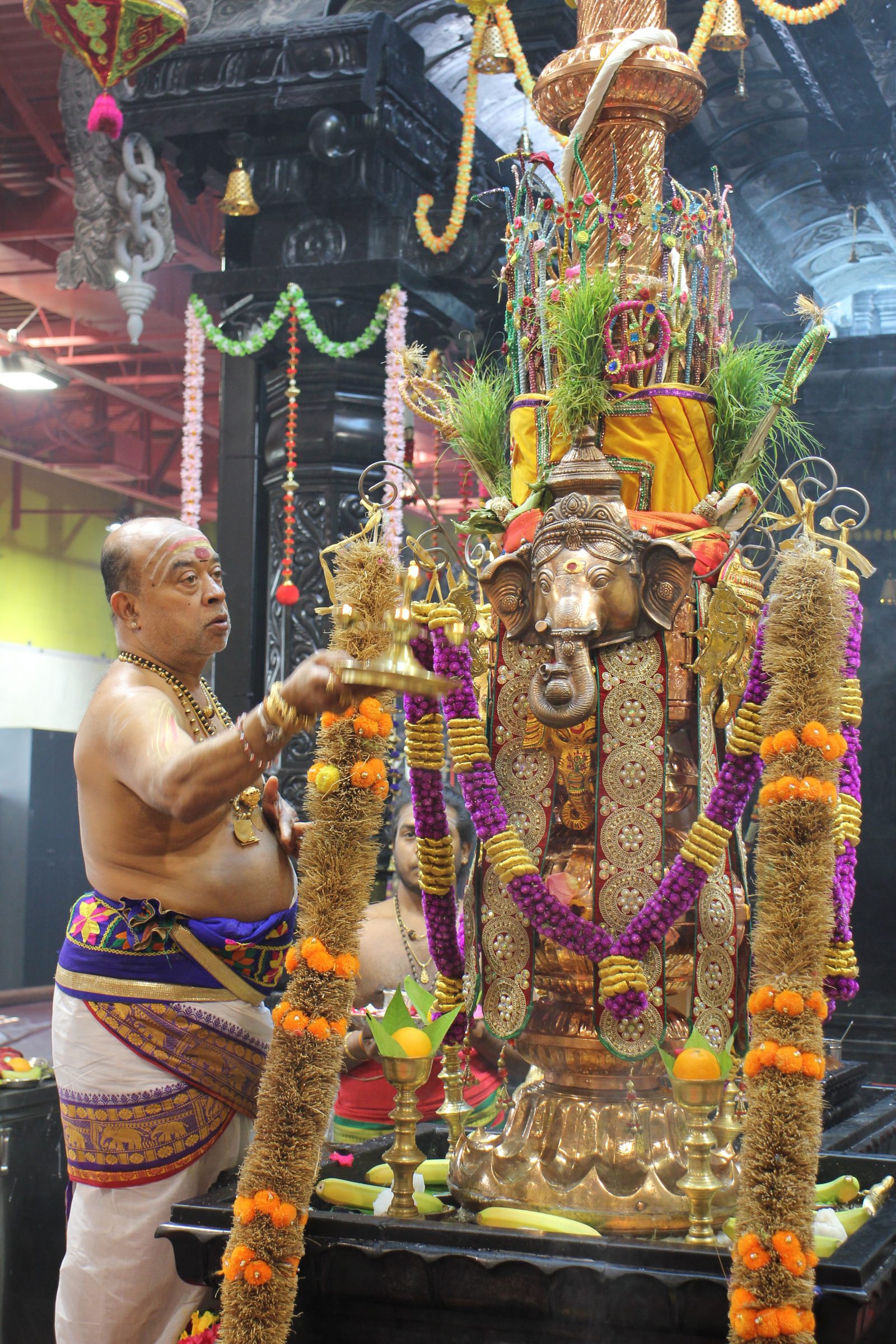 Festival 2026 photo