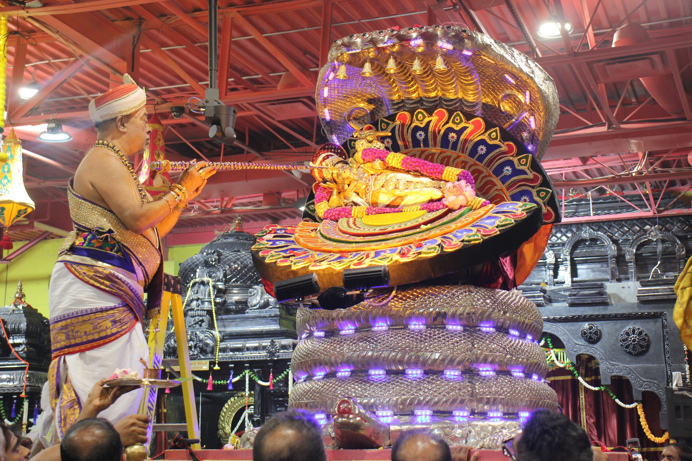 Festival 2026 photo