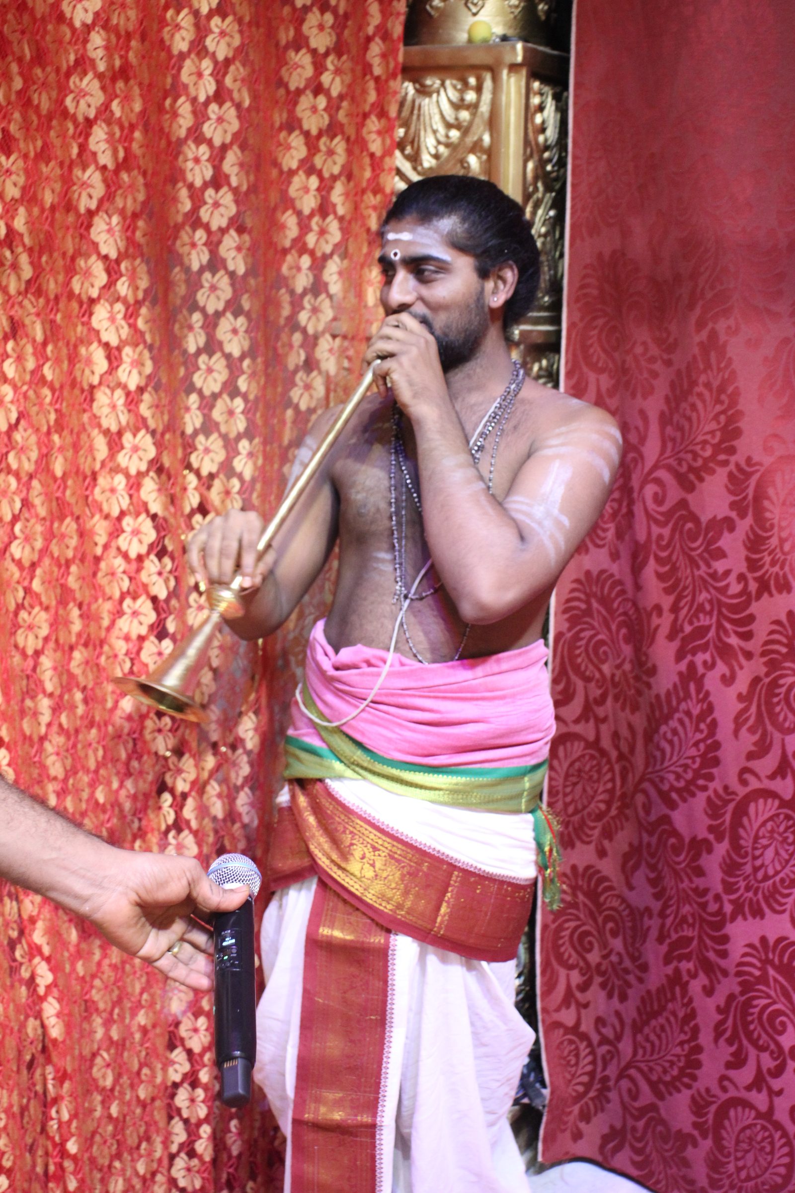 Festival 2026 photo