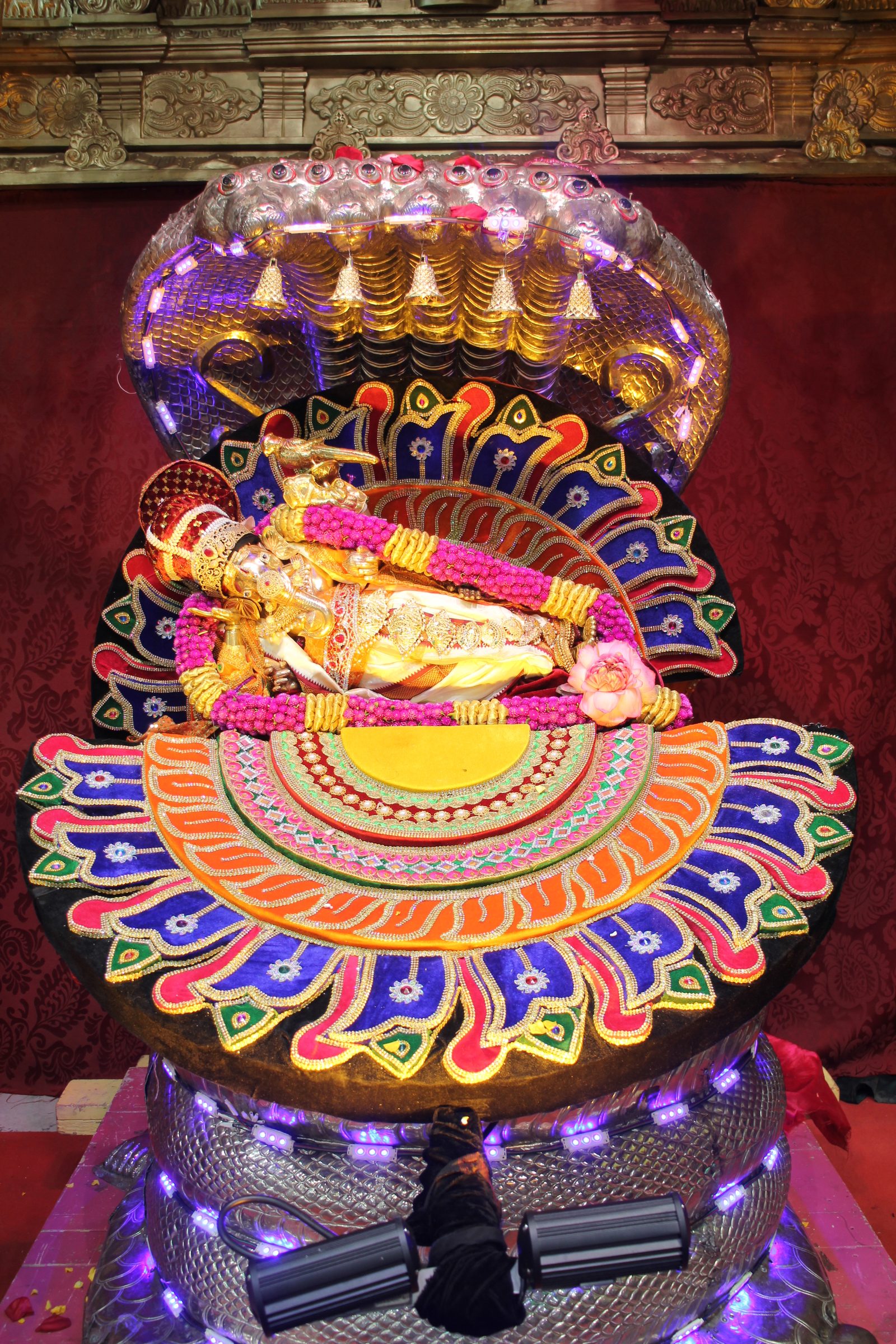 Festival 2026 photo