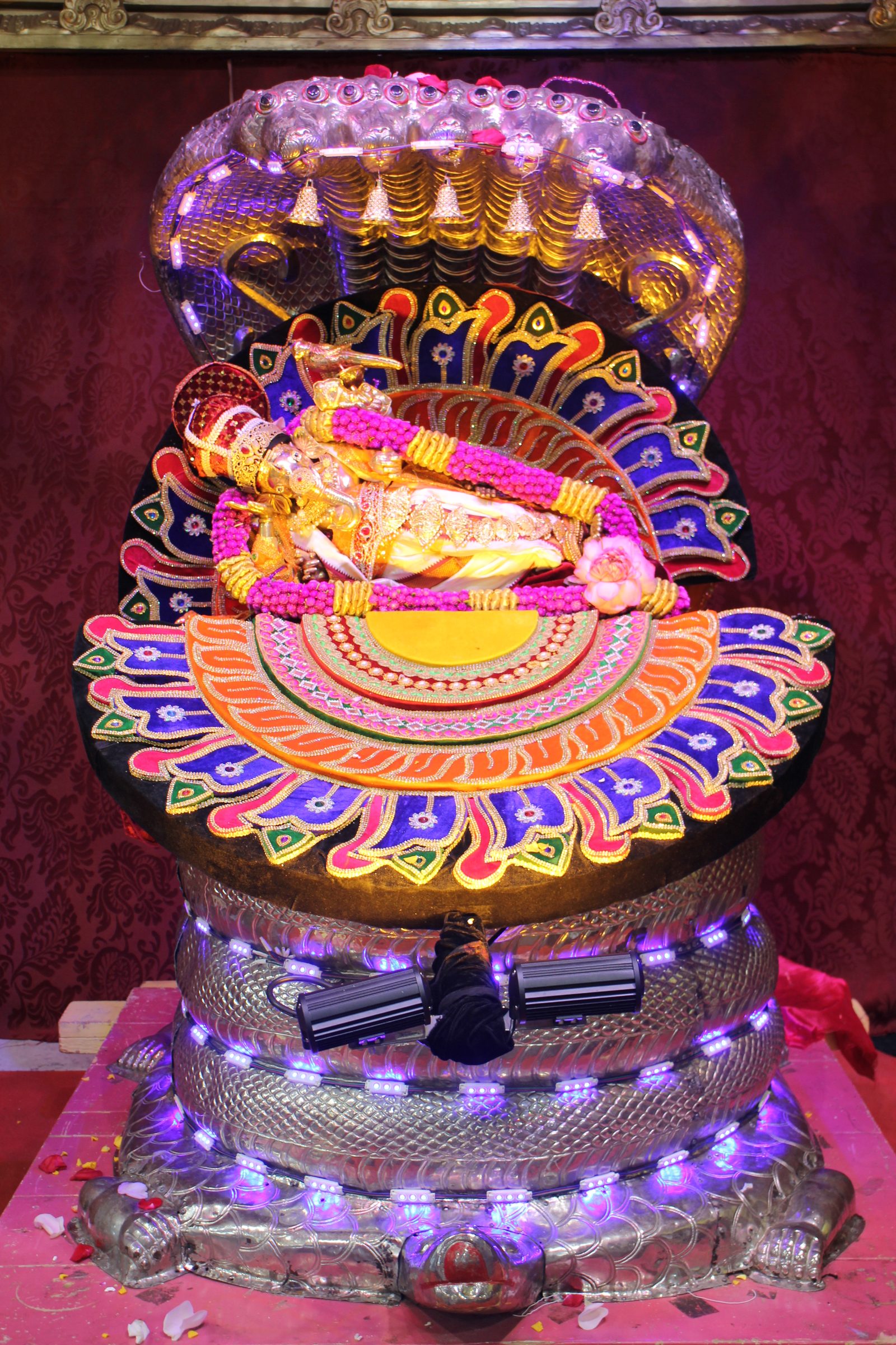 Festival 2026 photo