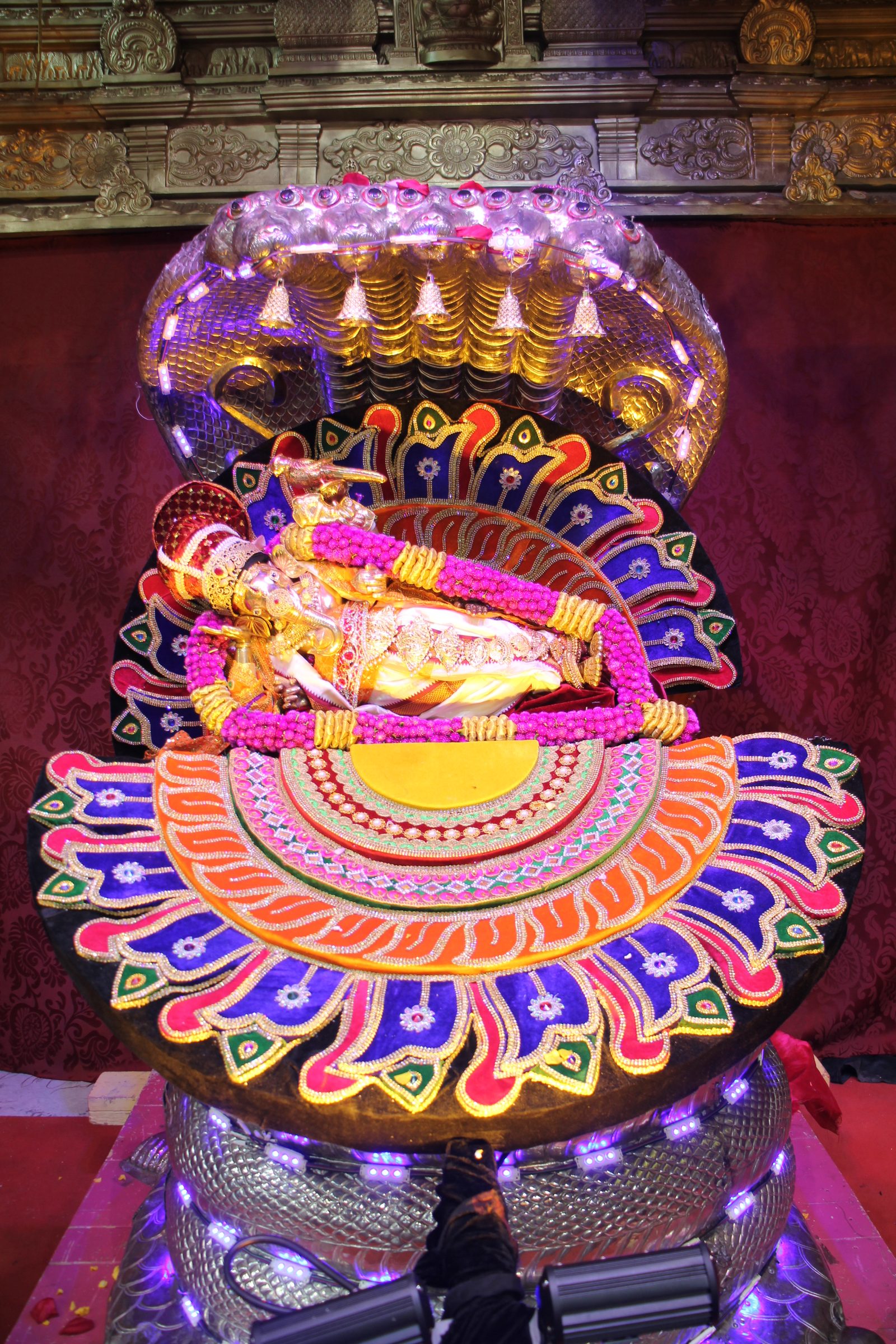Festival 2026 photo