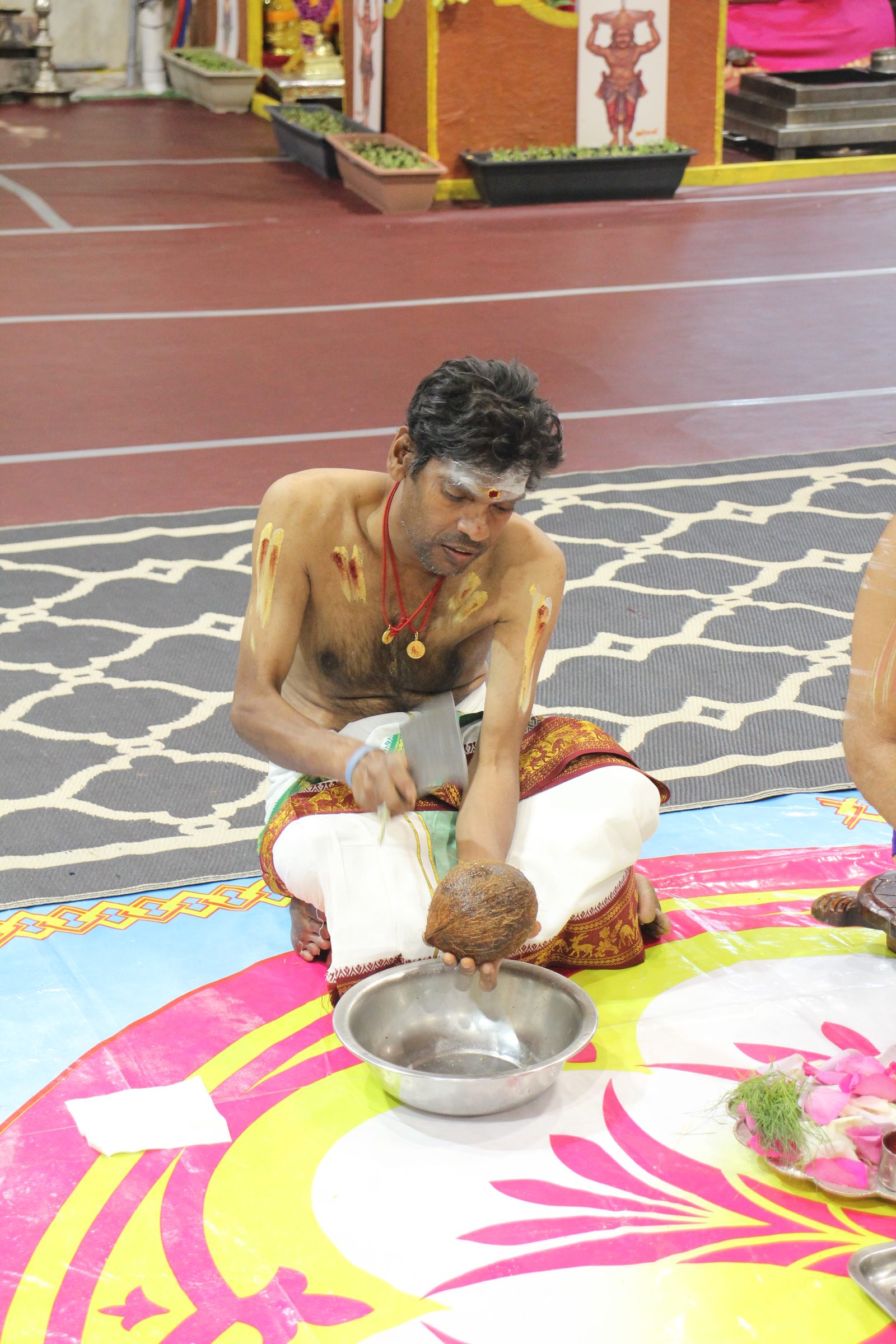 Festival 2026 photo