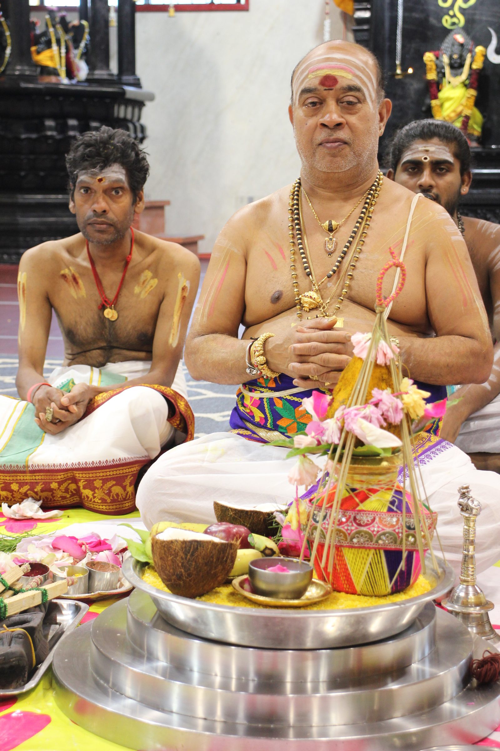 Festival 2026 photo