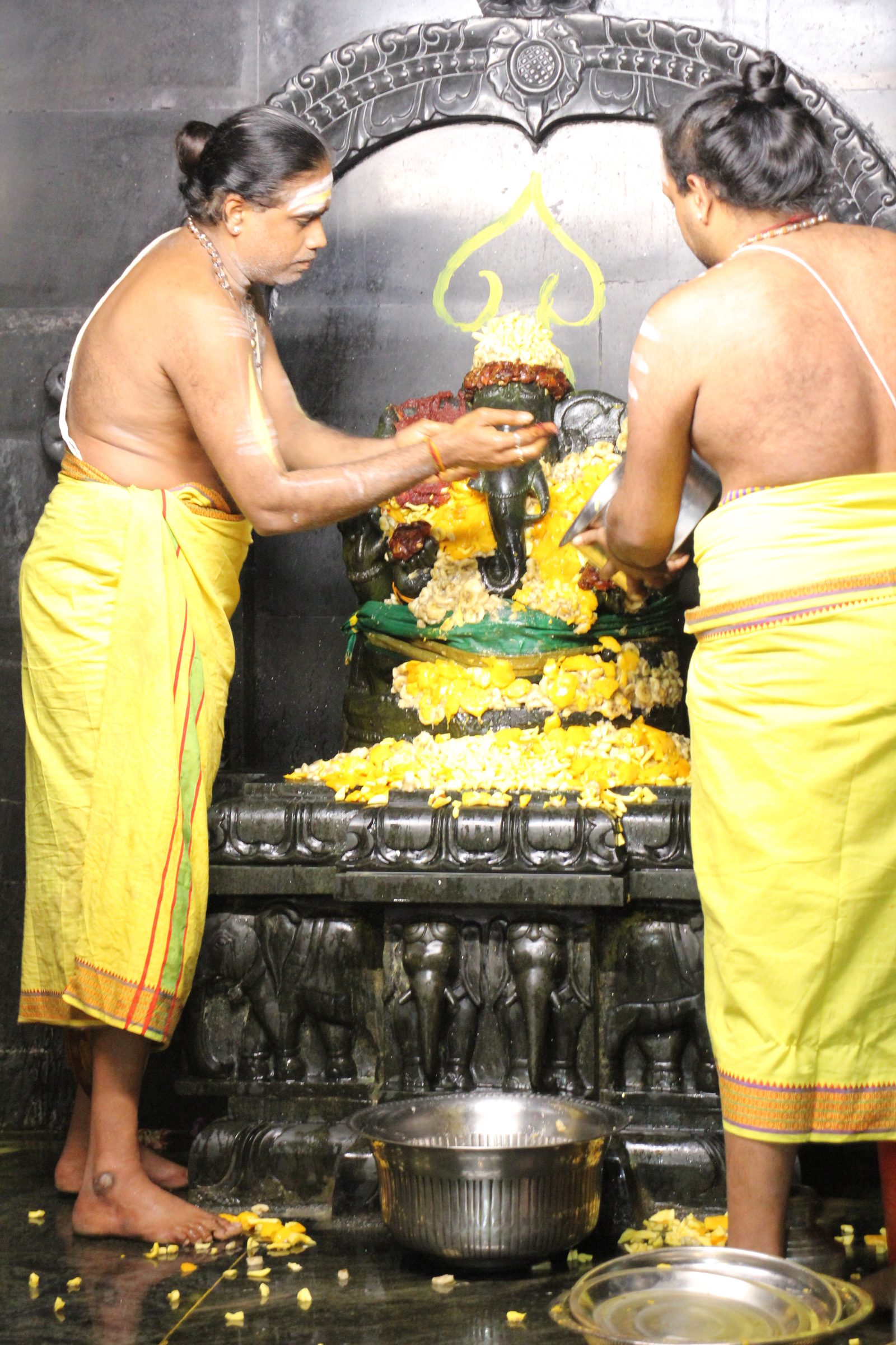 Festival 2026 photo