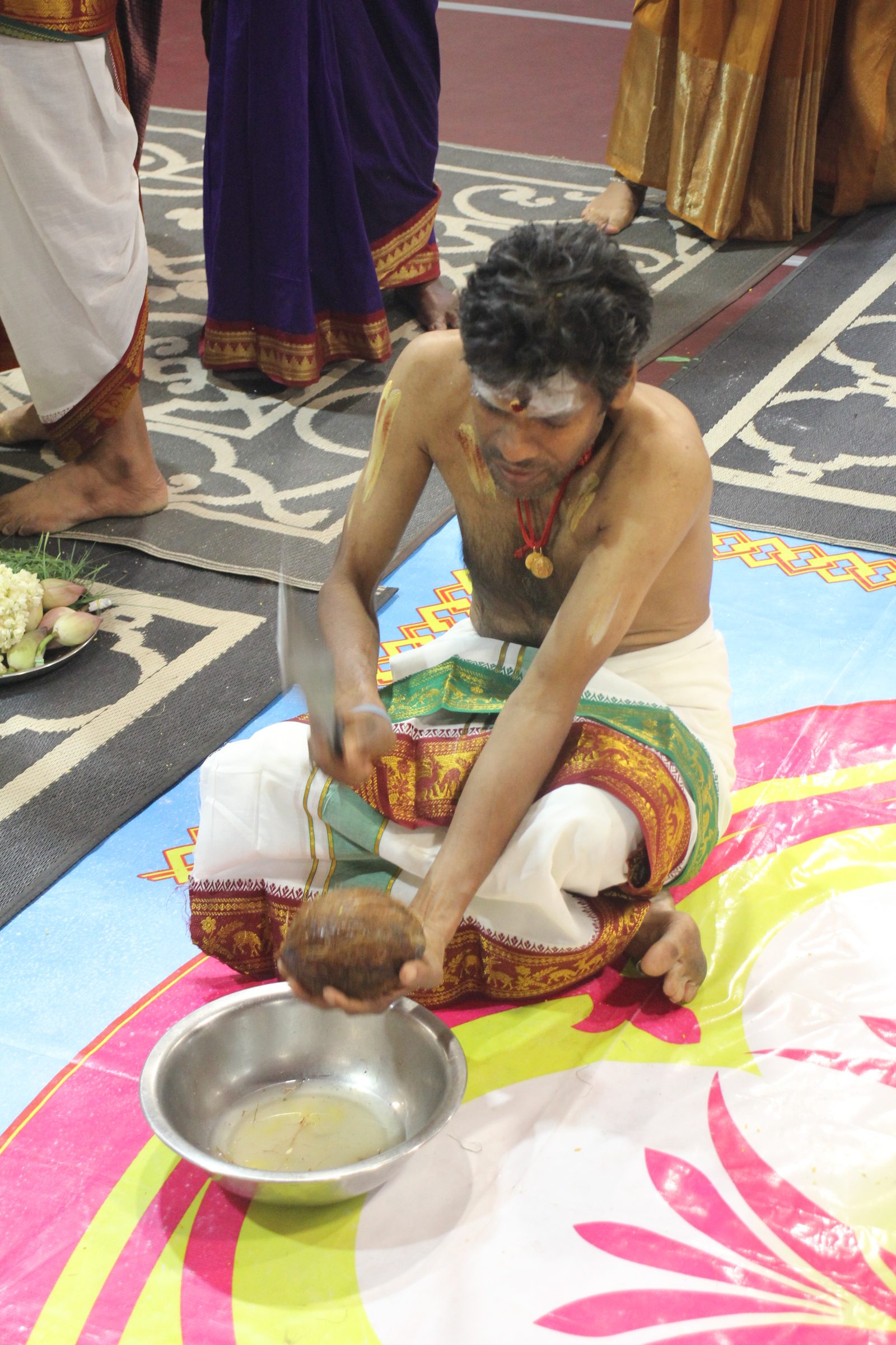 Festival 2026 photo