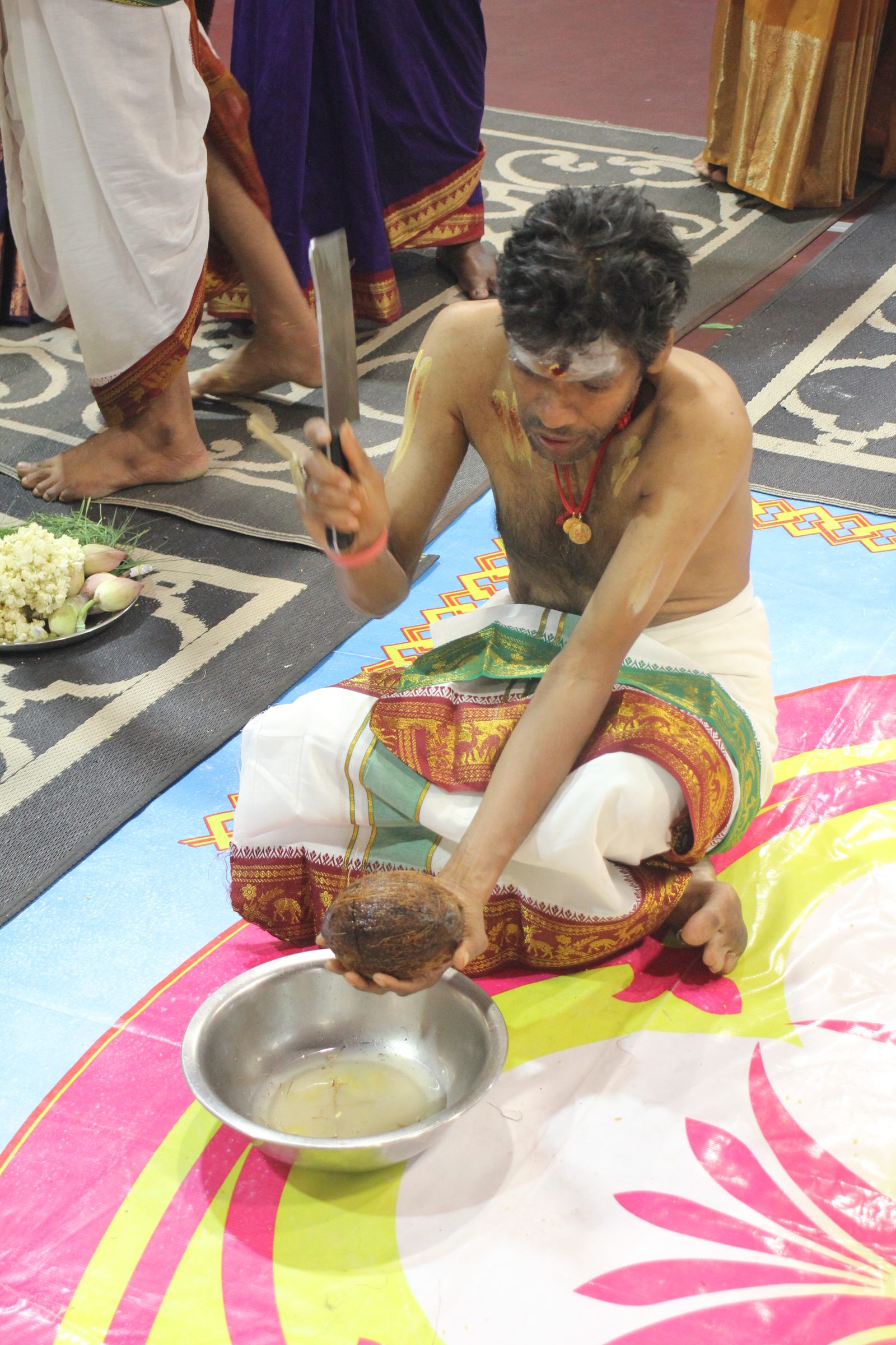 Festival 2026 photo