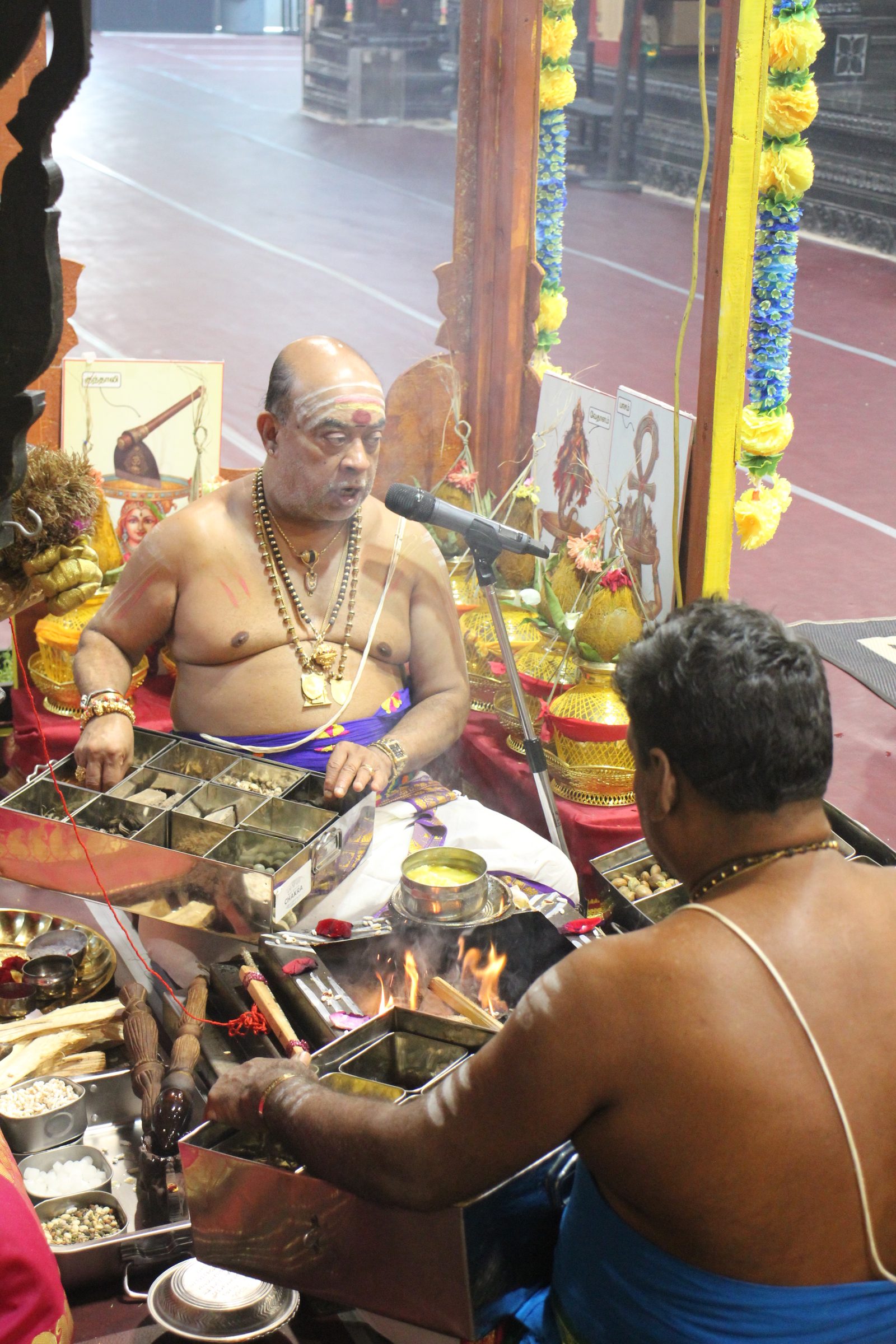 Festival 2026 photo