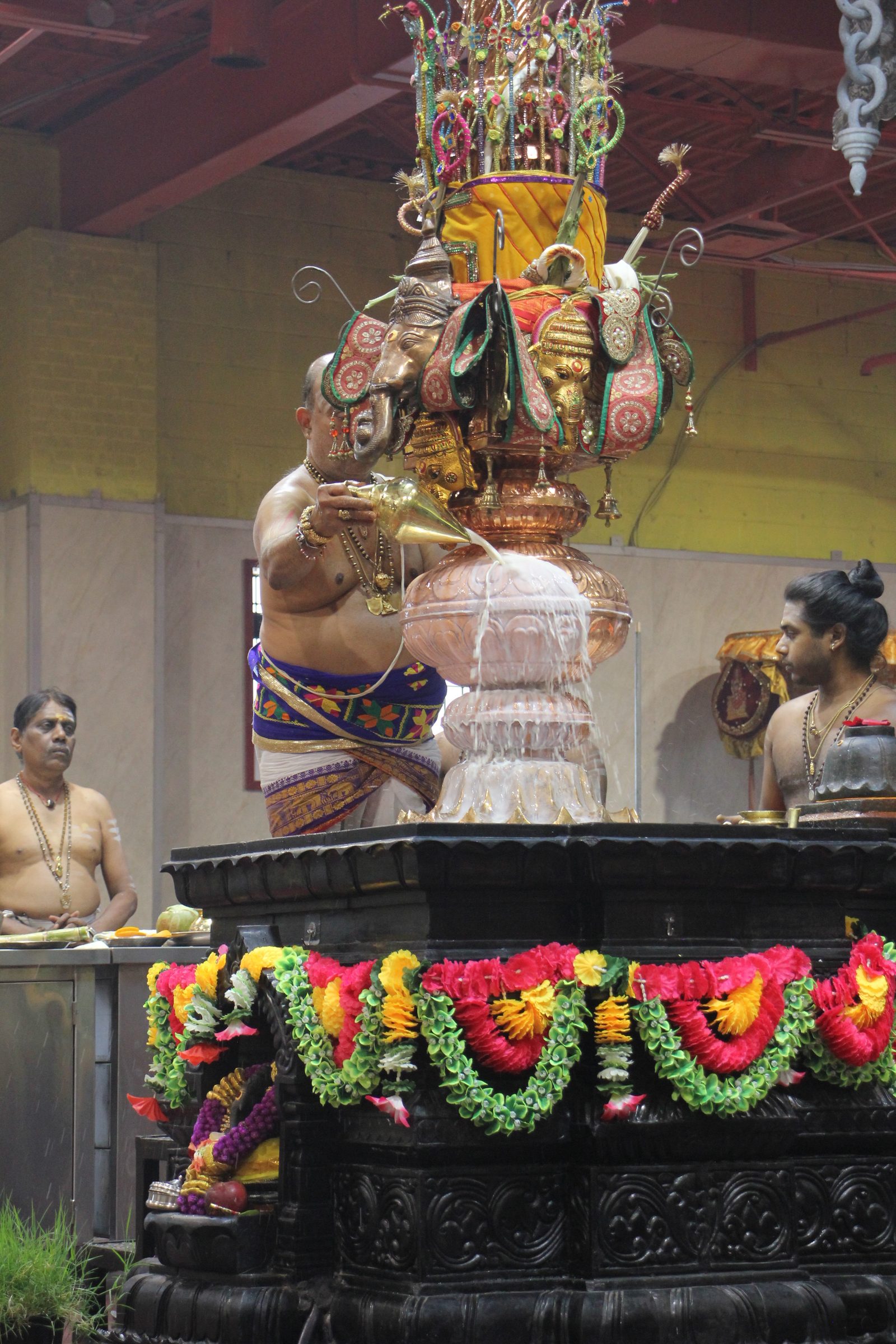 Festival 2026 photo