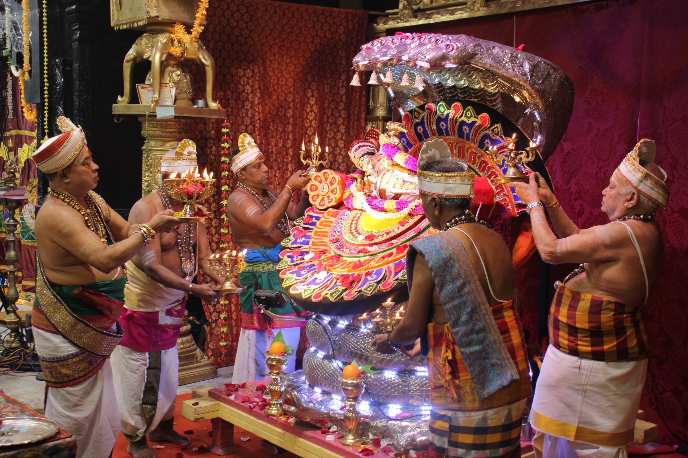 Festival 2026 photo
