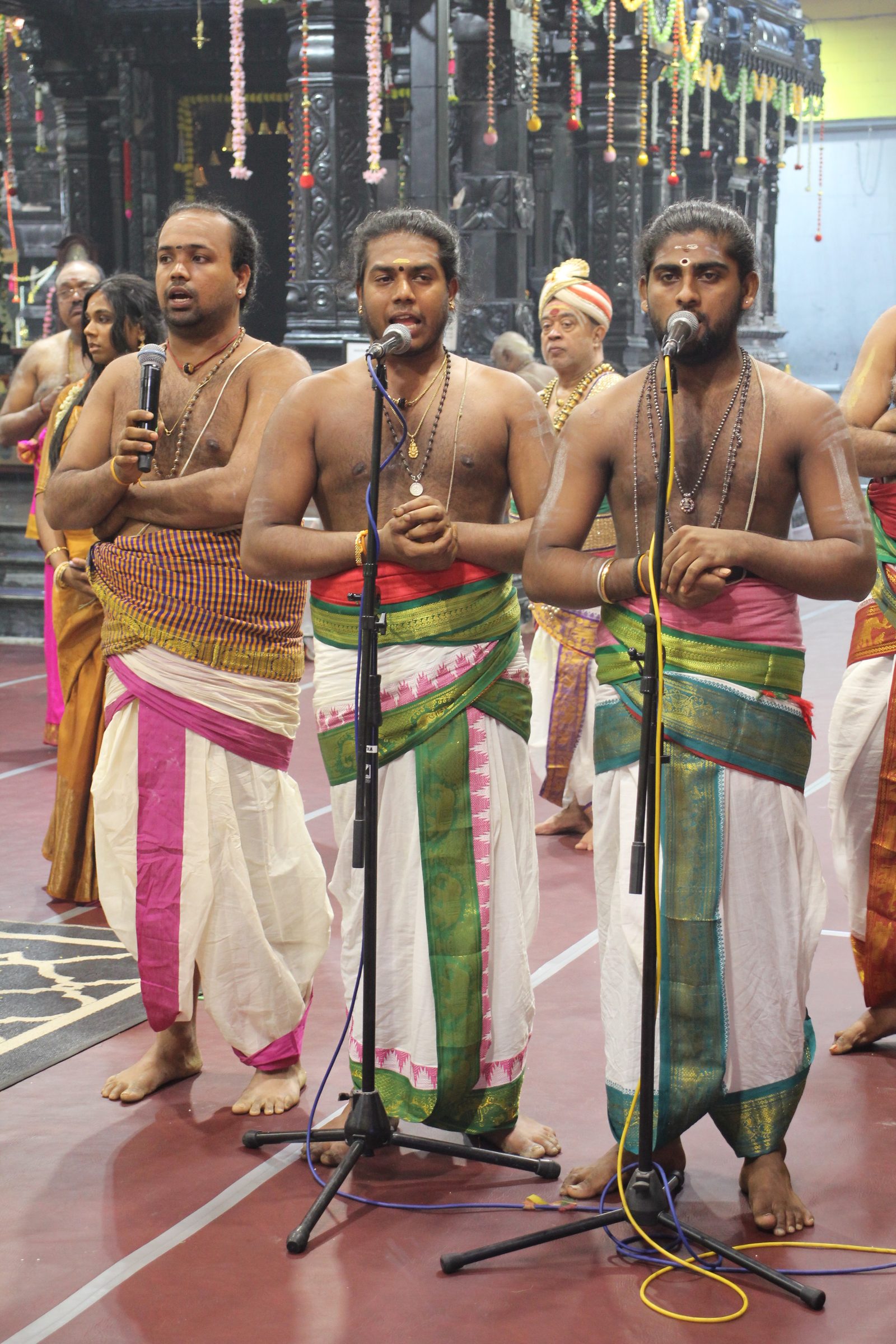 Festival 2026 photo