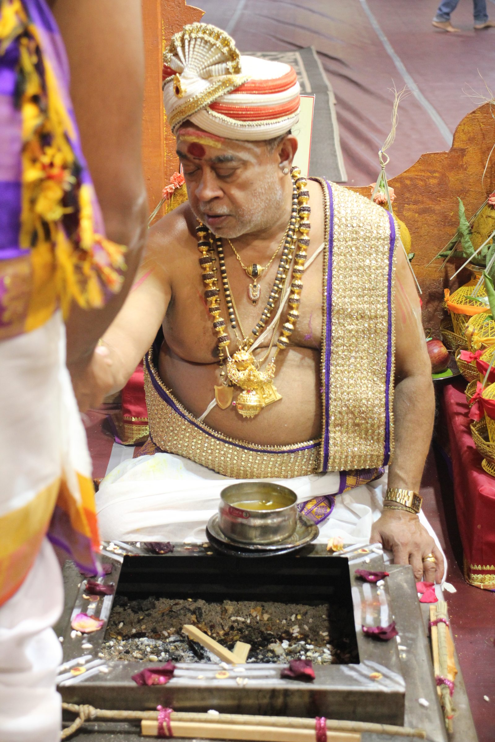 Festival 2026 photo