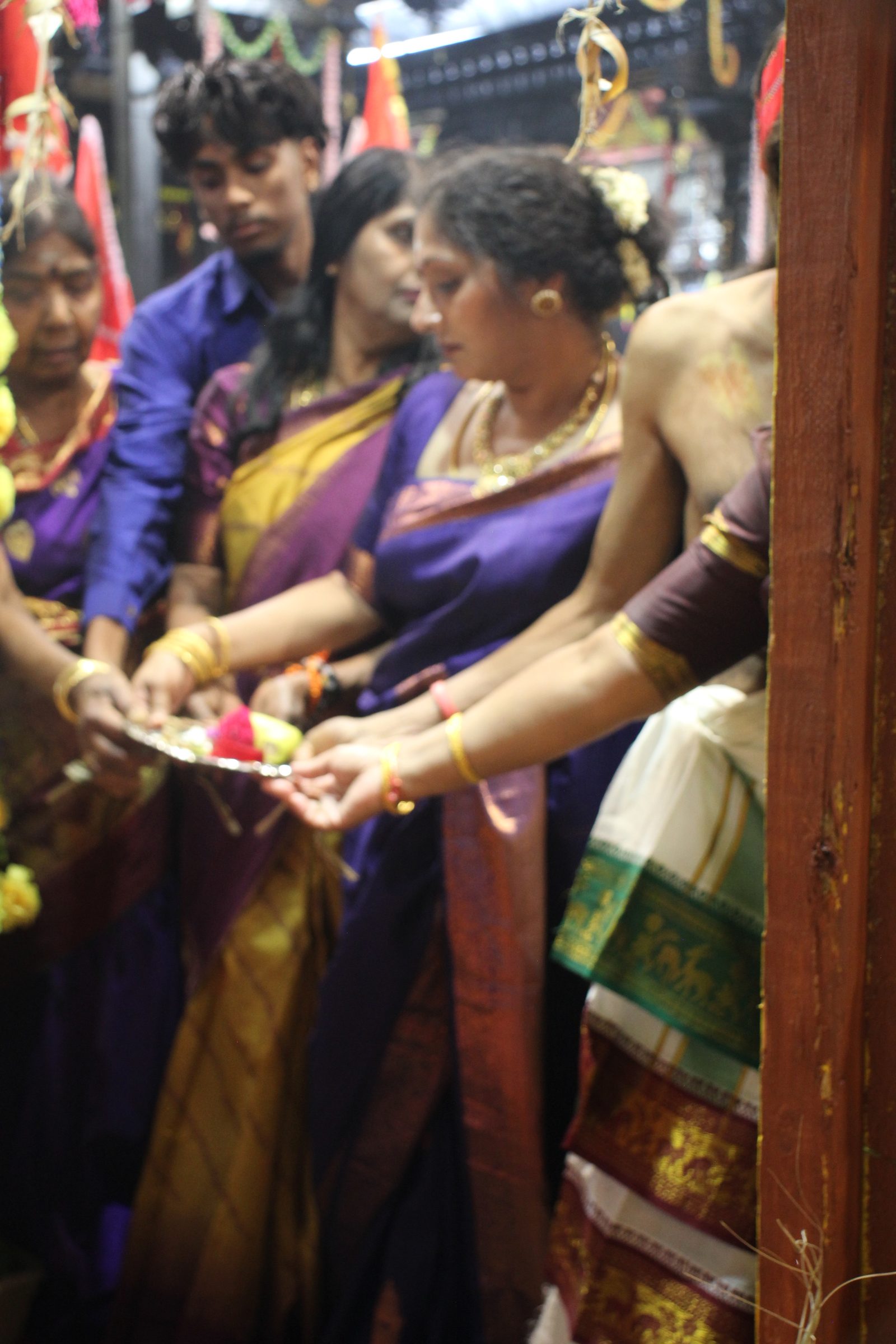 Festival 2026 photo