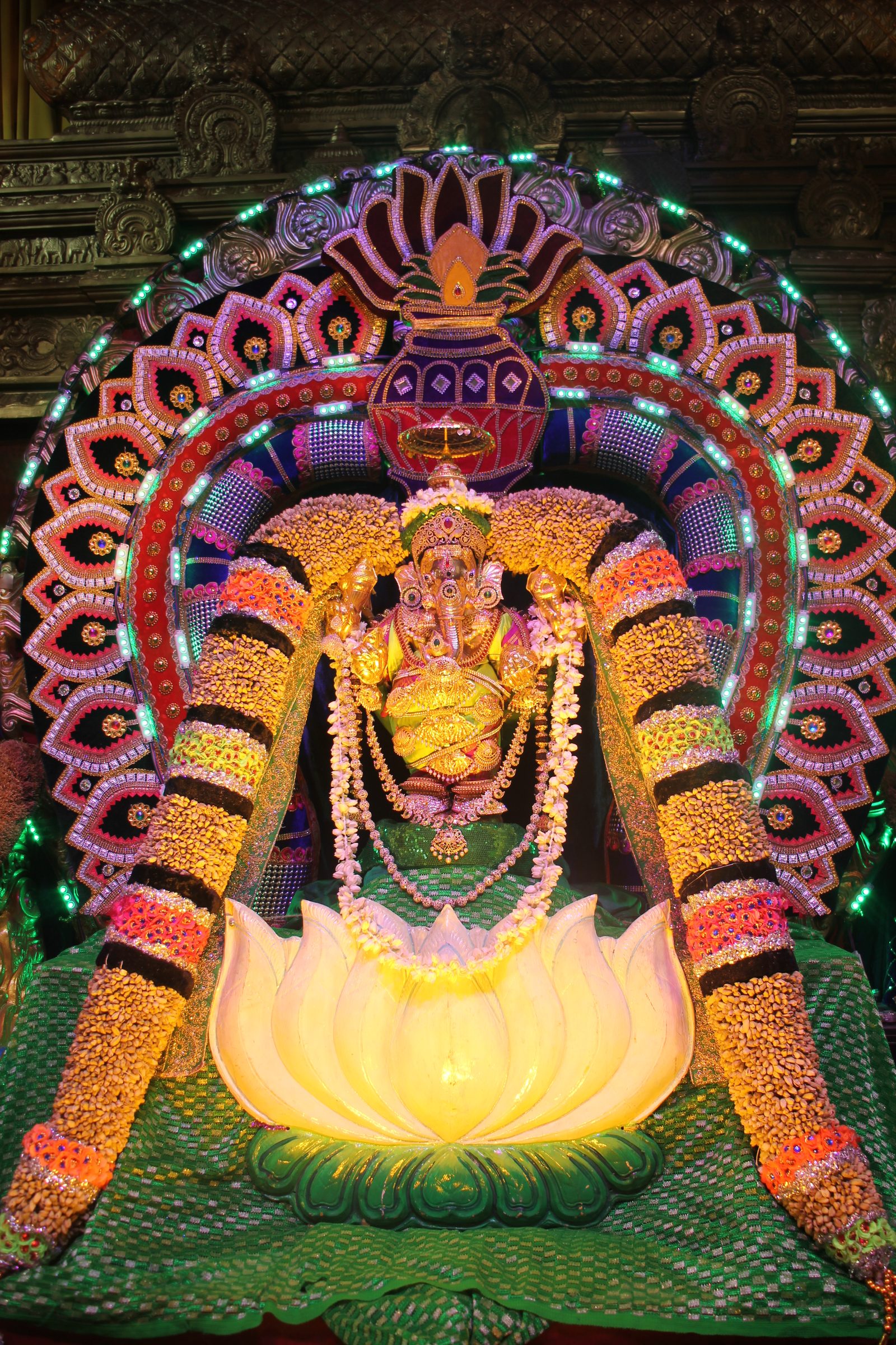 Festival 2026 photo