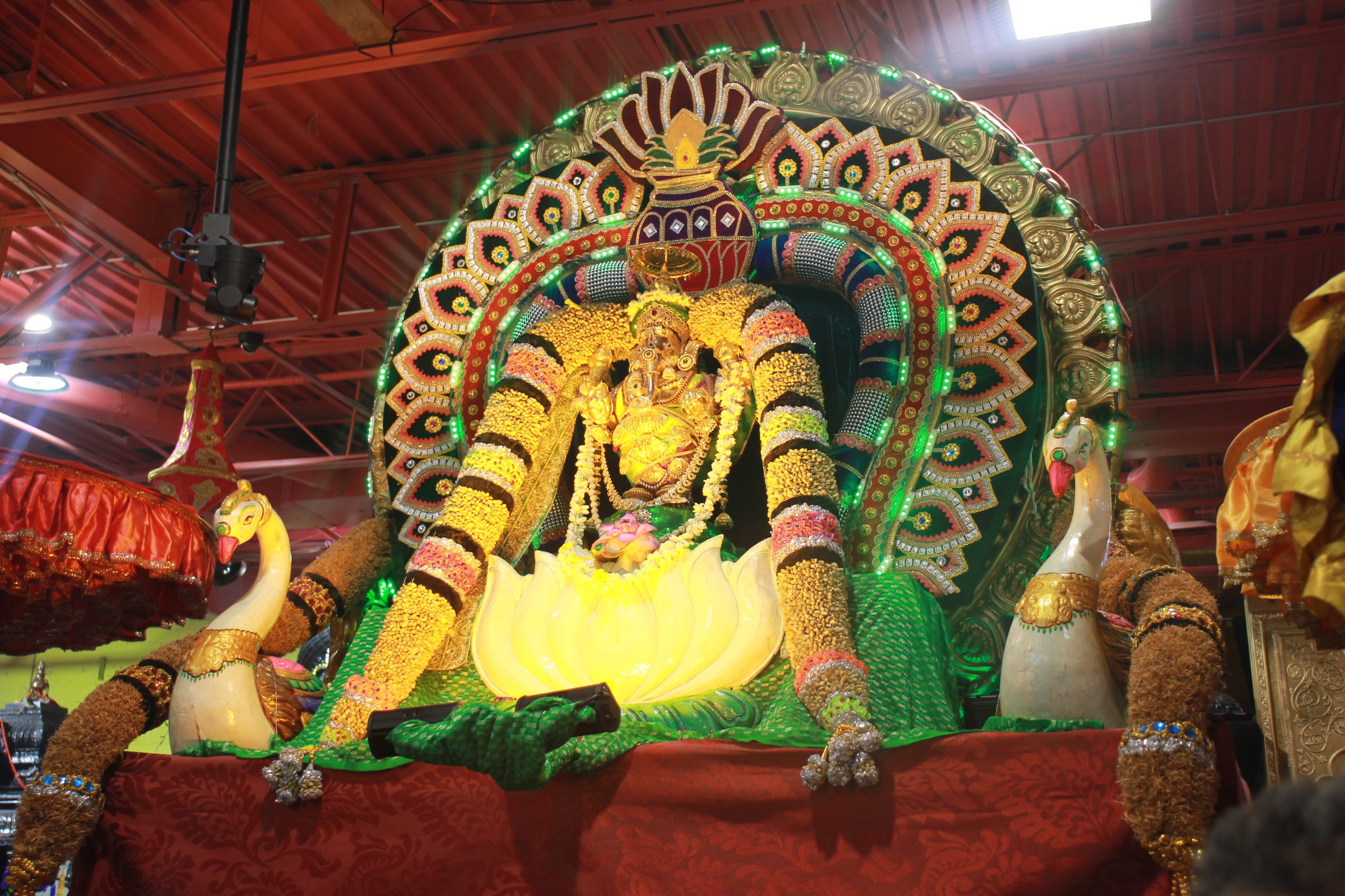 Festival 2026 photo