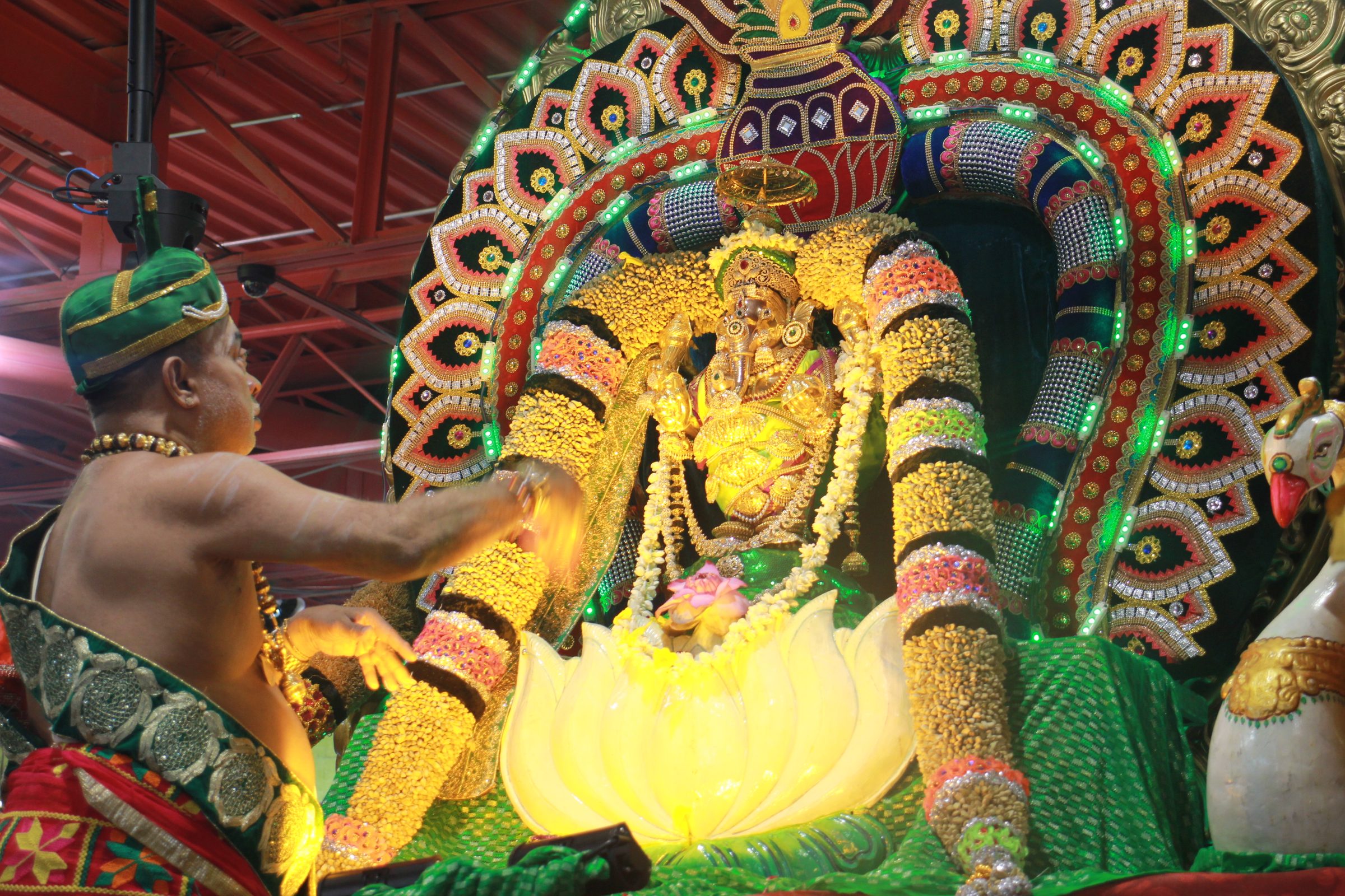 Festival 2026 photo