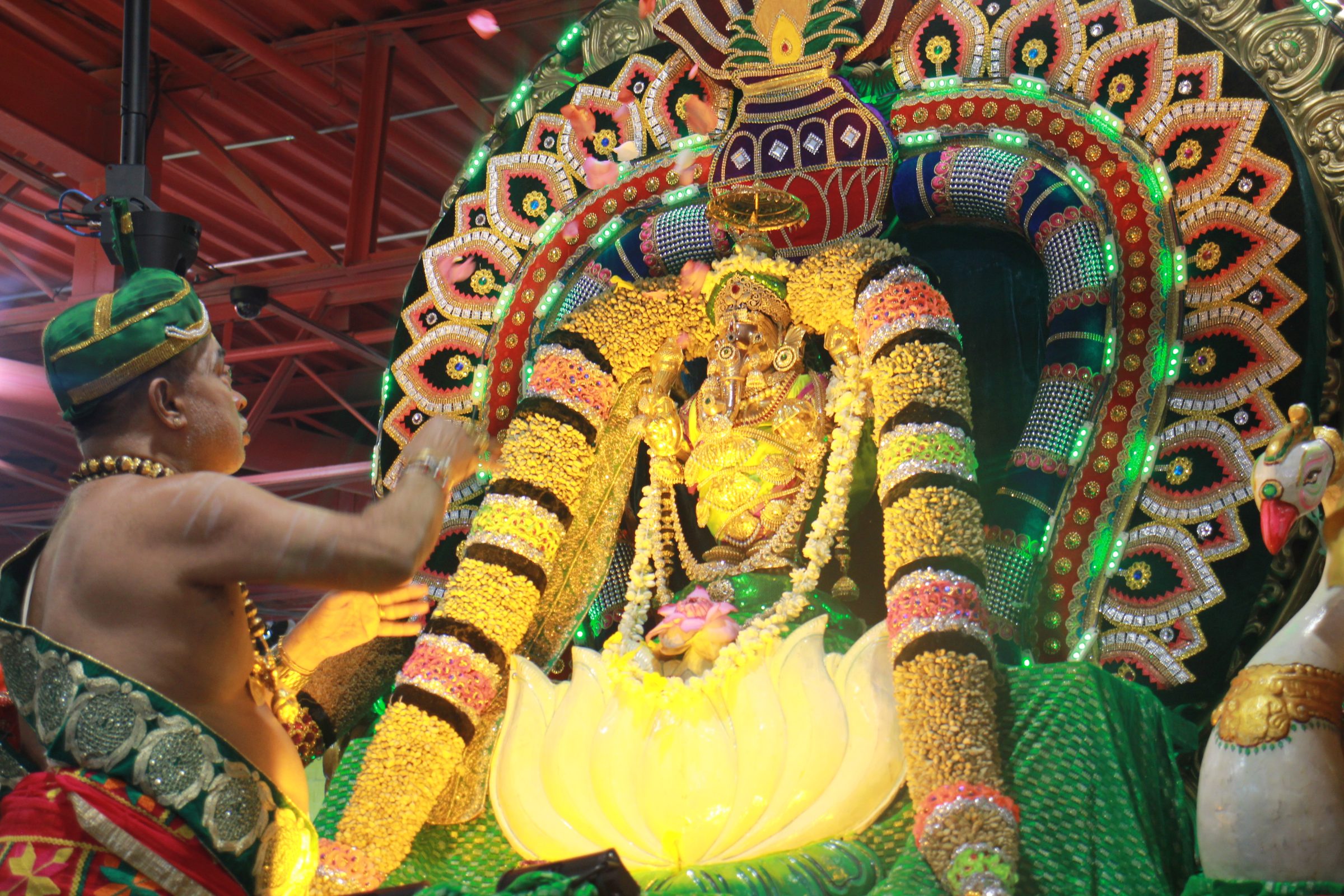 Festival 2026 photo