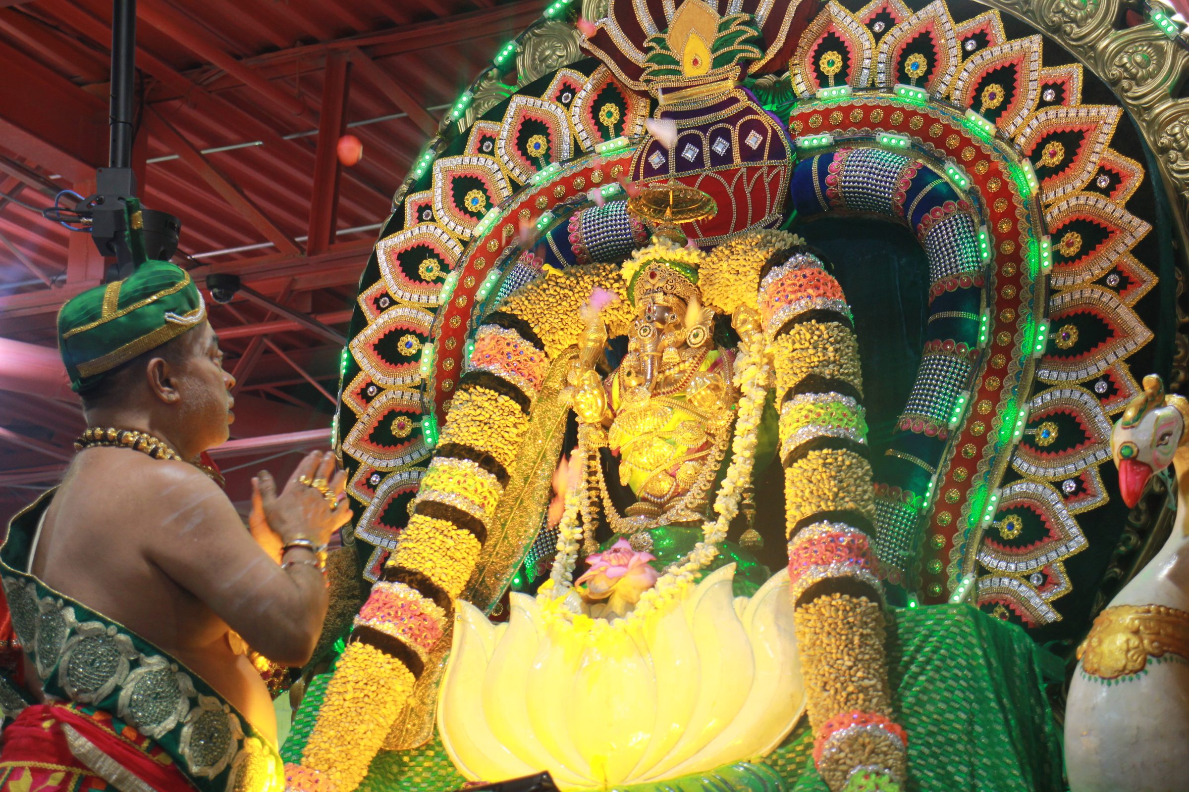 Festival 2026 photo