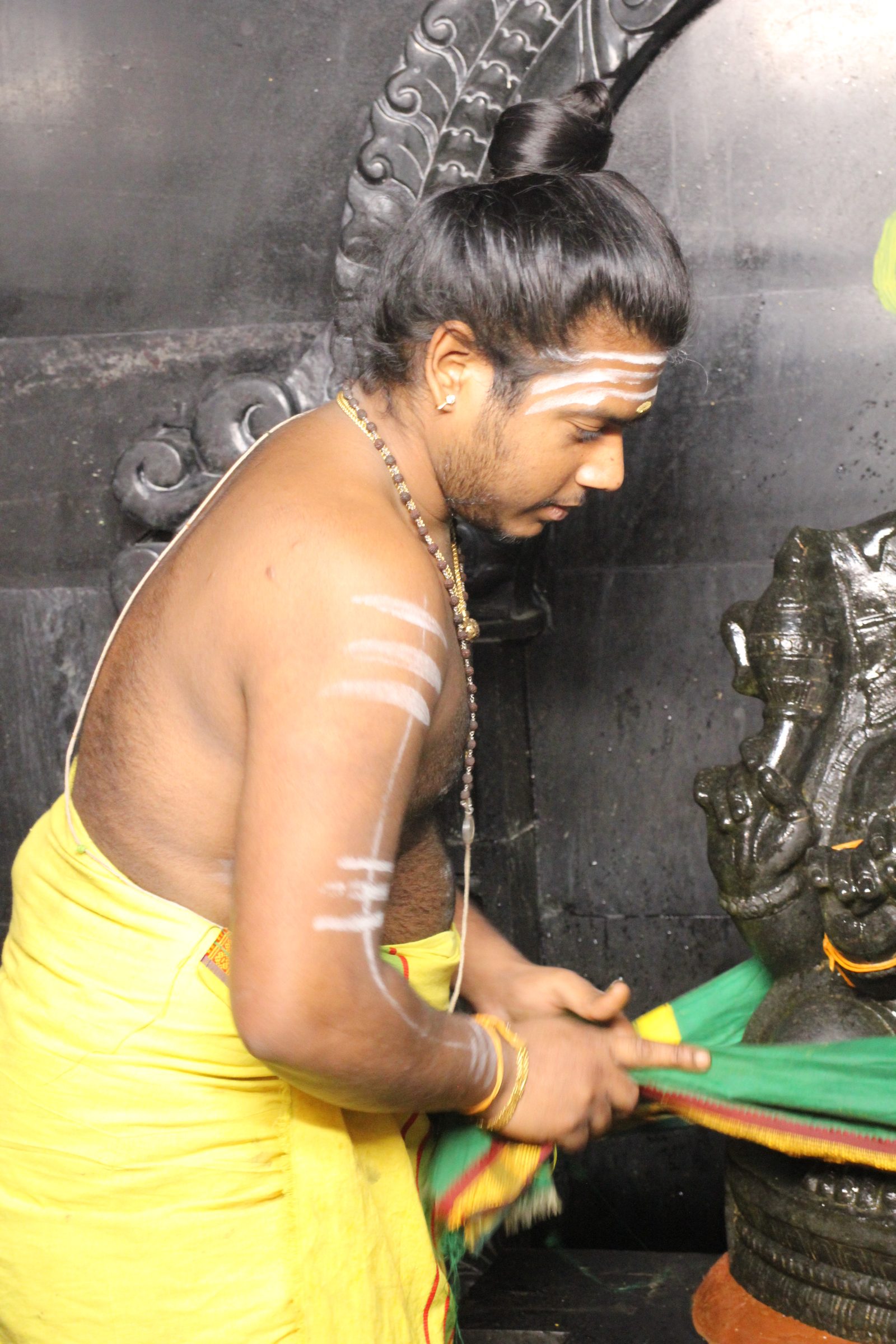 Festival 2026 photo